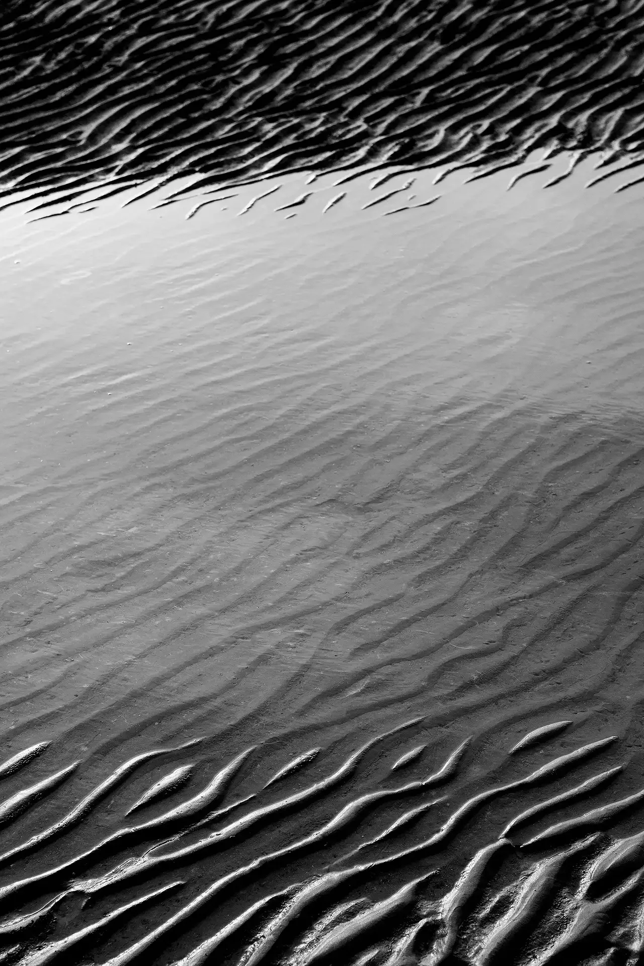 showcasing a view of the Persian Gulf coast, Iran. Fine sand ripple patterns and organic linear textures.⁠