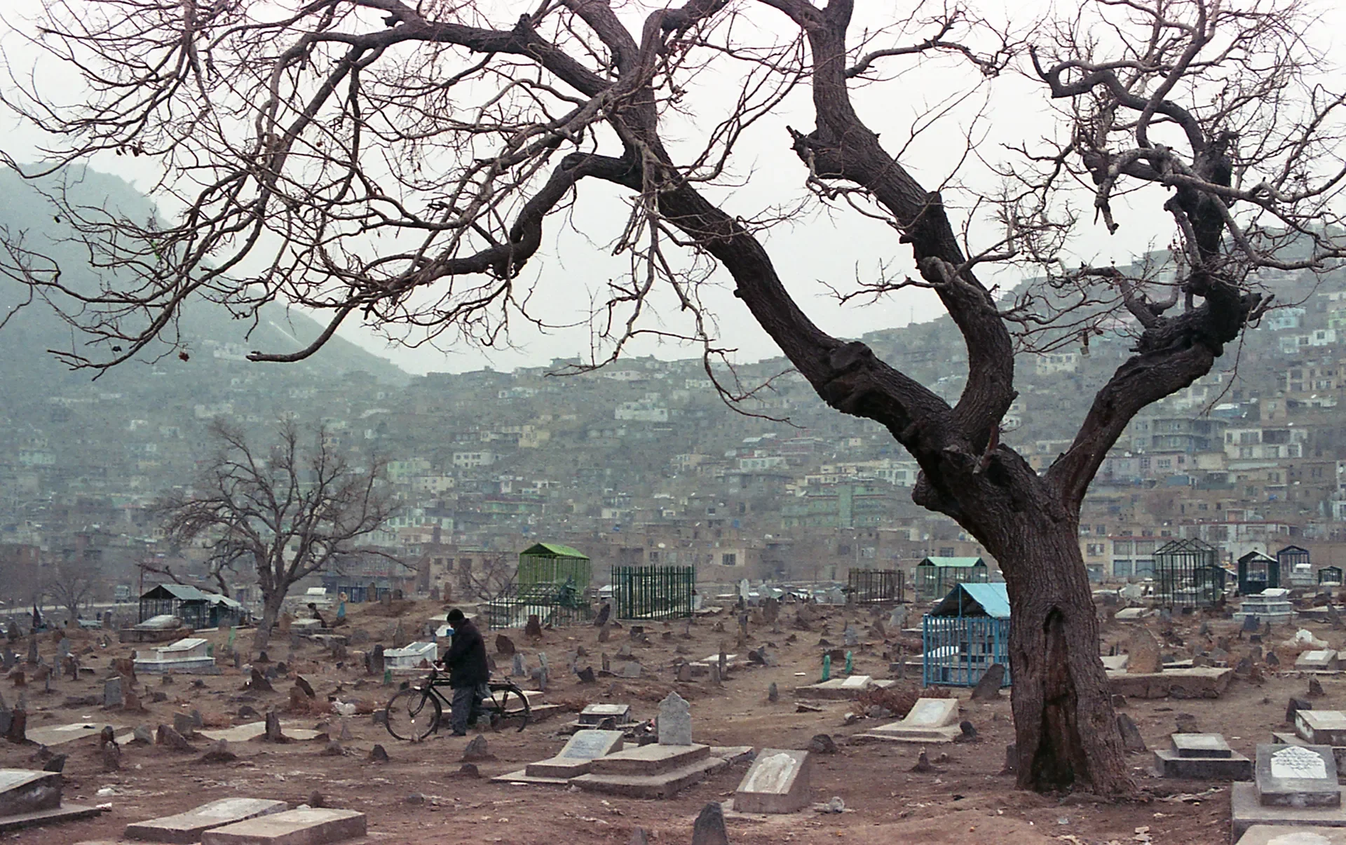 ⁠Documentary photography showcasing a hillside view and bare trees, Kabul,  Afghanistan.⁠