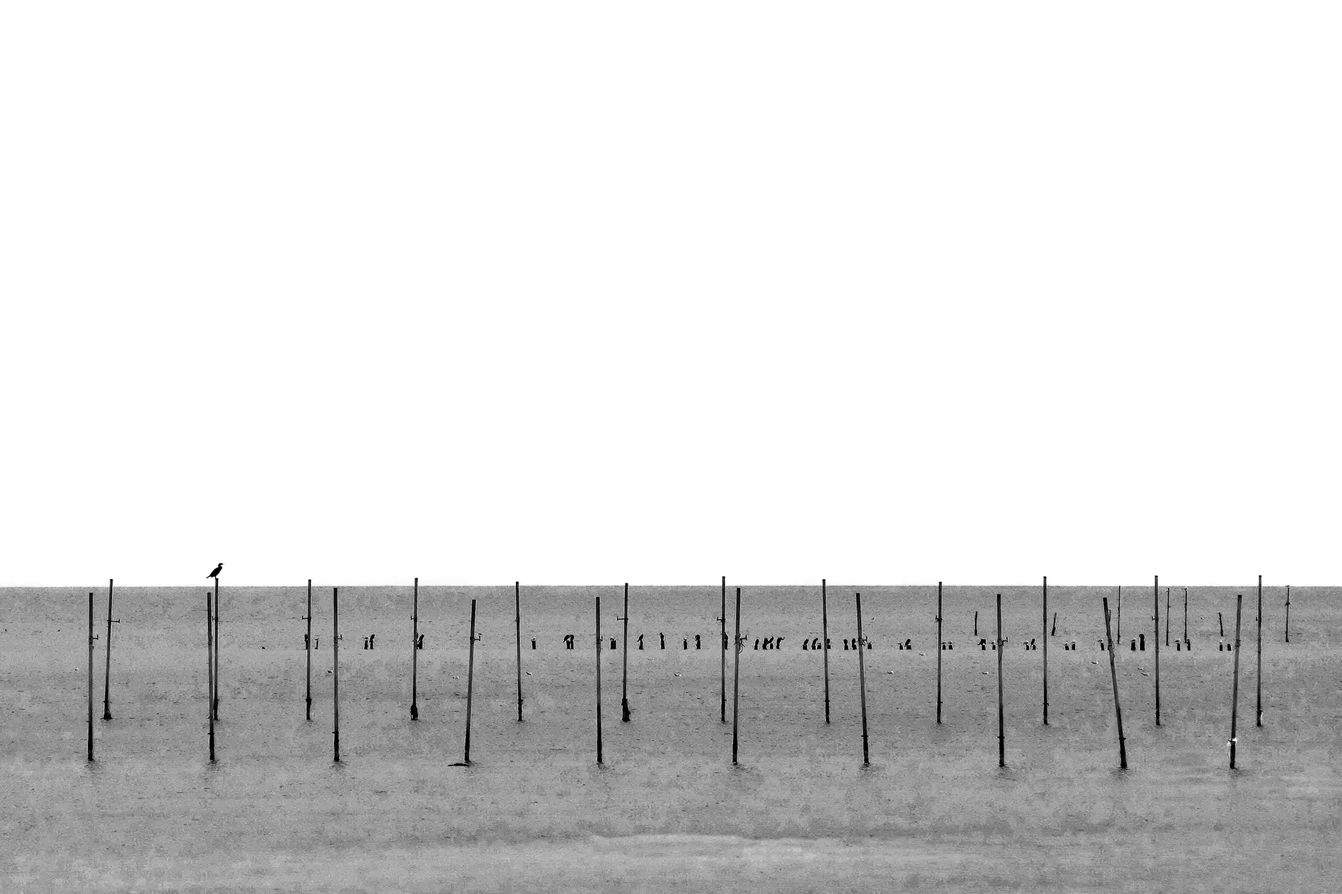 capturing the Caspian Sea (or Khazar Sea) at Bandar Turkman, Iran. Features minimalist vertical posts along the horizon.⁠