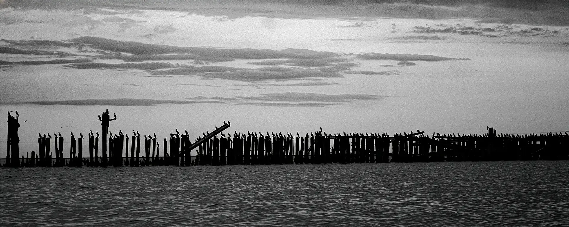 capturing the migration of birds over the Caspian Sea at Bandar Turkman, Iran. Vertical structures cutting against the dramatic horizon.⁠