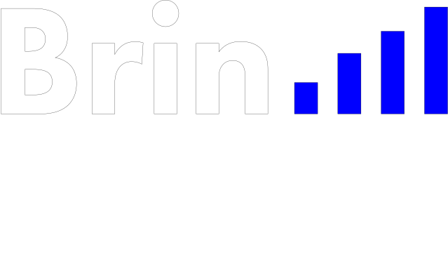 Brin Sound Logo