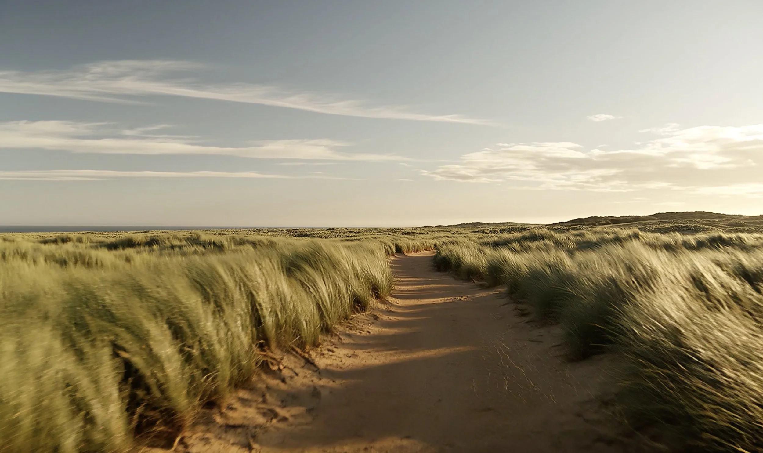 km landscape still .jpg