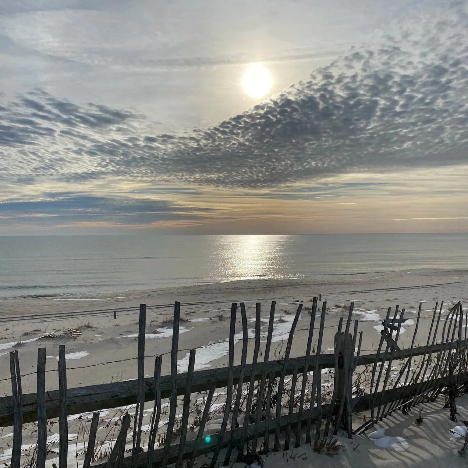 Finding Clarity and Calm