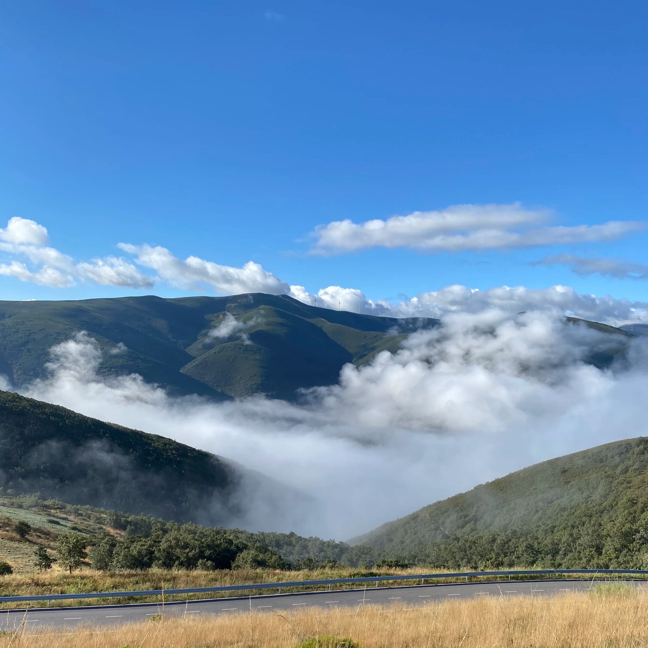 Cake in the Clouds