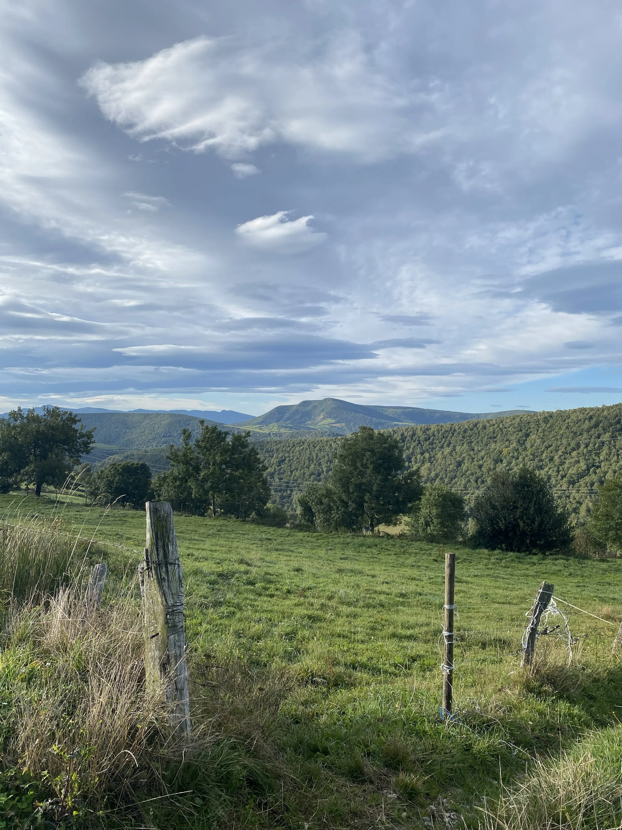 Galica countryside near Triacastela on the Camino Frances