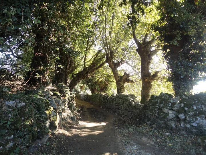 The path to Samos on The Emerald Gem, a Mindful Adventure on El Camino