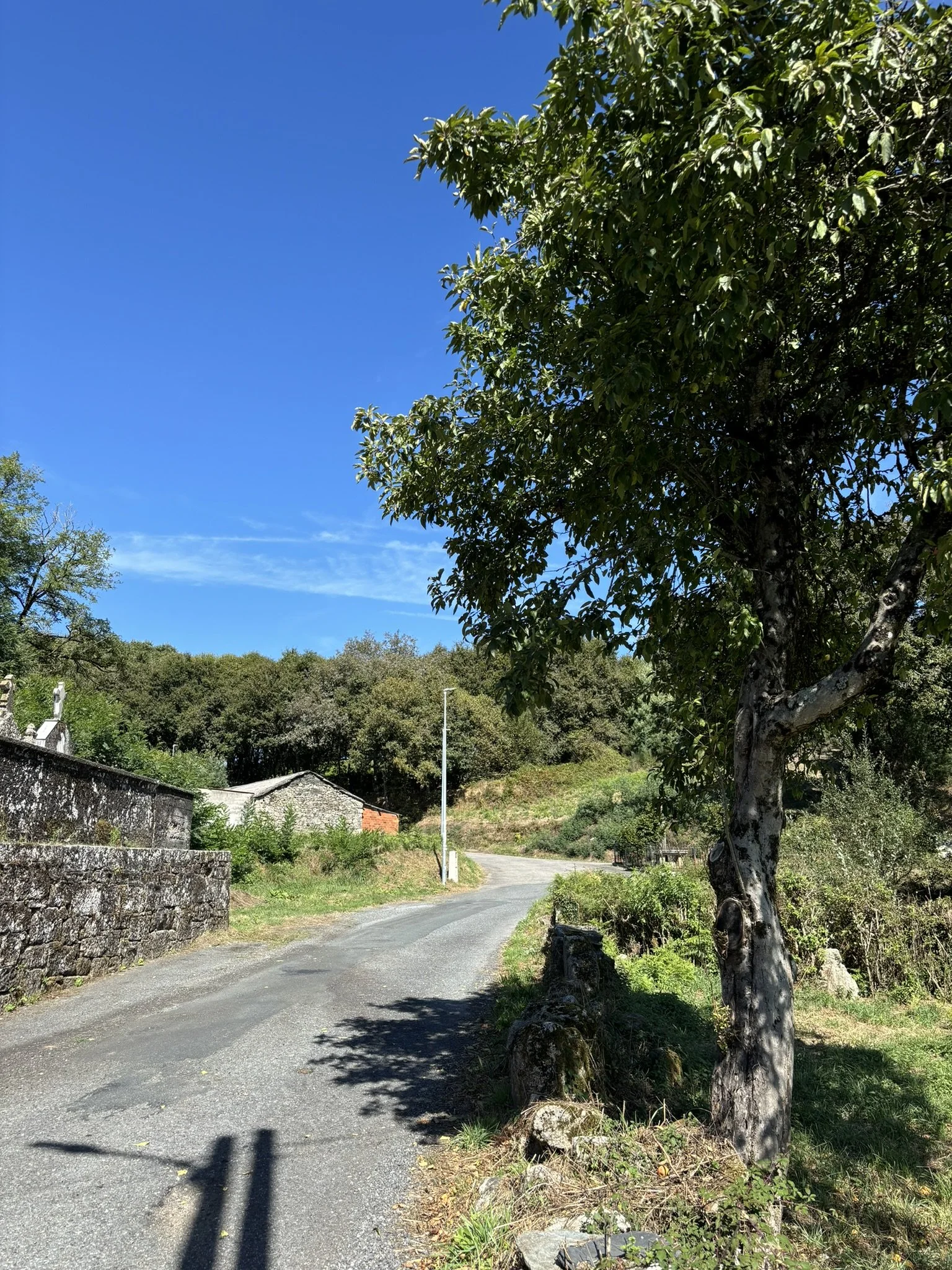 Country path on El Camino Sanabres in Galicia