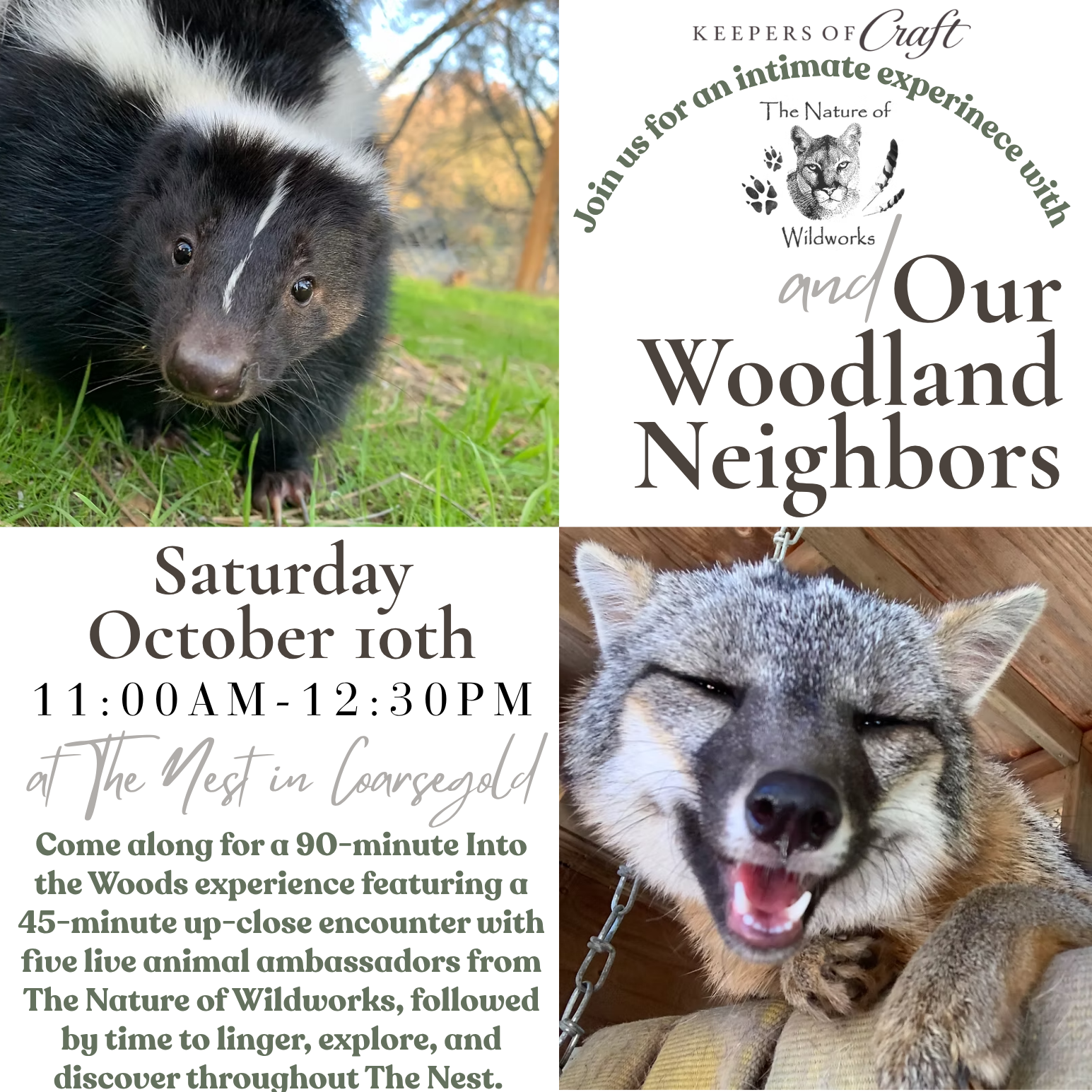 Our Woodland Neighbors