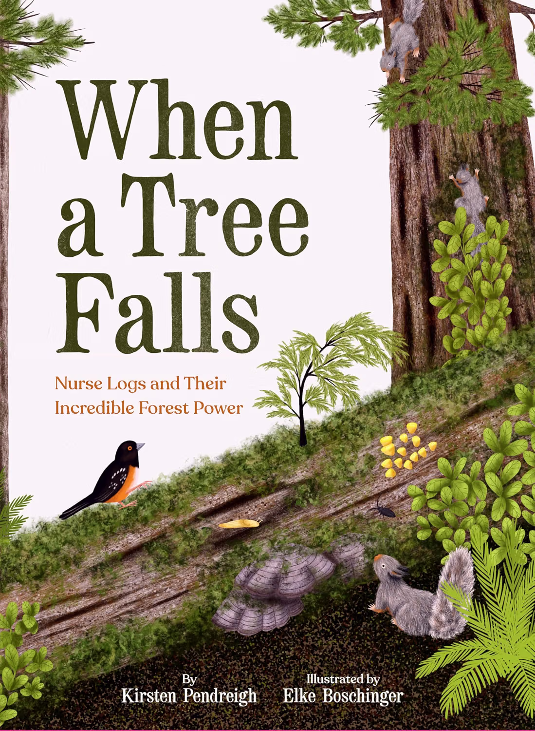 Guide-Led Sessions Inspired by When a Tree Falls, by Kirsten Pendreigh {Into the Woods: The Changing Forest}