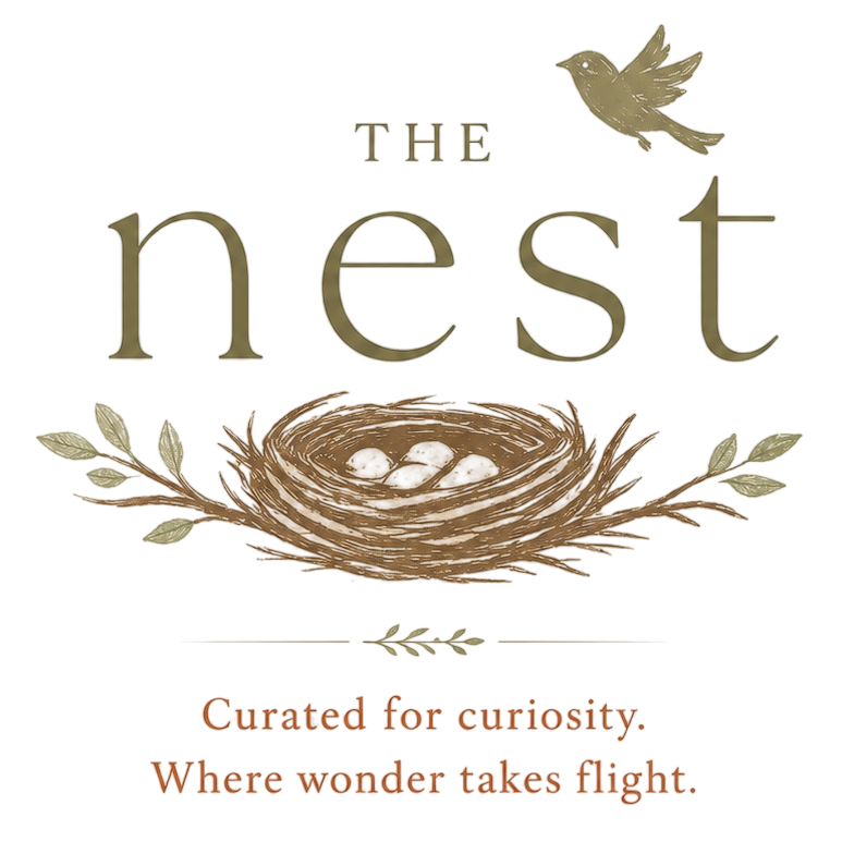 Decorative graphic with the text "The Nest" accompanied by a bird, nest illustration, and the quote "Curated for curiosity. Where wonder takes flight."