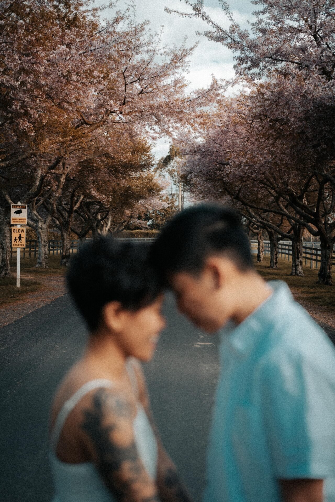 Two people with short dark hair are standing close together on a street with cherry blossom trees in bloom, and their foreheads are touching.
