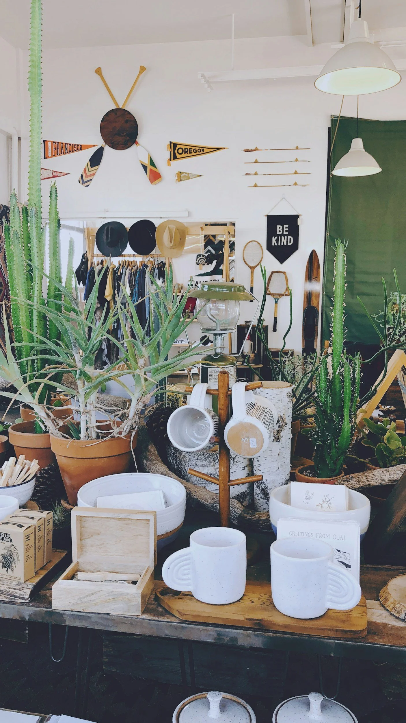 A display of various home decor and plants in a store, with hats hanging on the wall, a 'Be Kind' sign, and multiple potted cacti and succulents on tables.