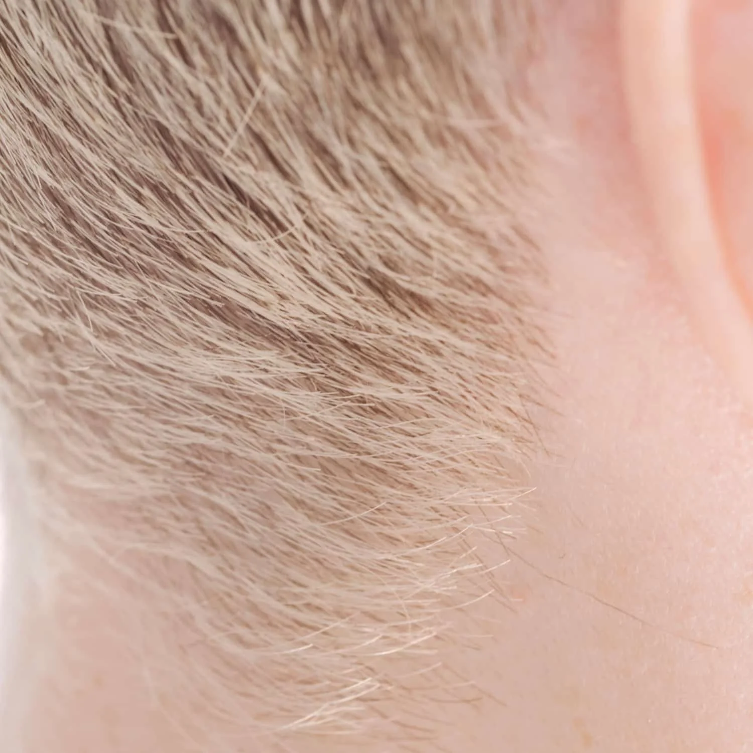 Close-up of light brown hair and skin.
