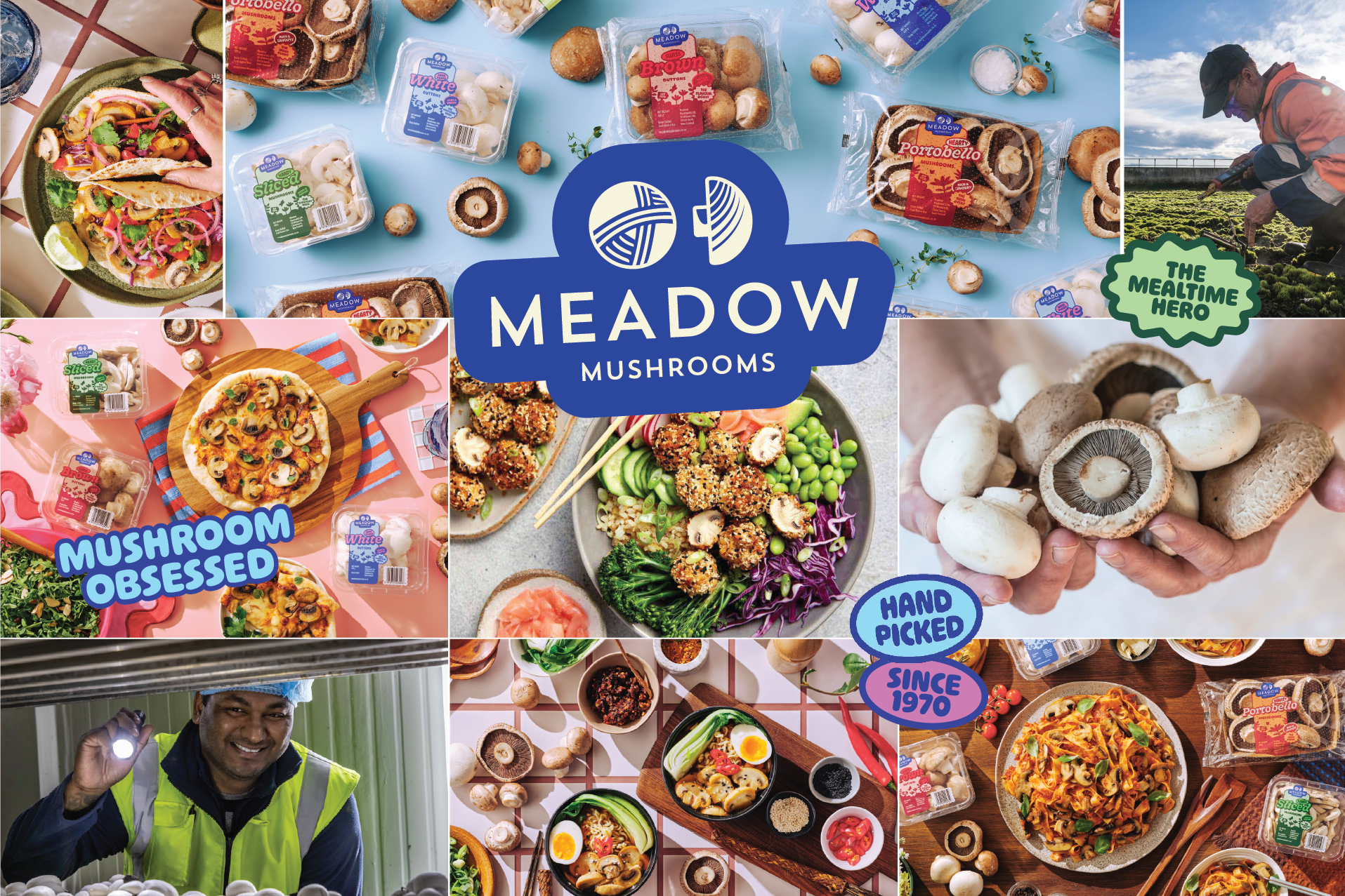 A Fresh New Look for Meadow Mushrooms