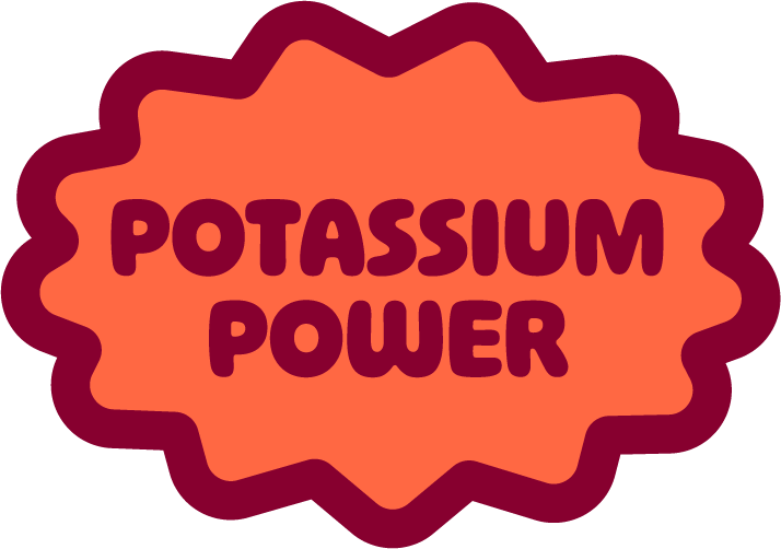 Graphic design with bold text reading "Potassium Power" inside a starburst shape with orange and dark red colors.