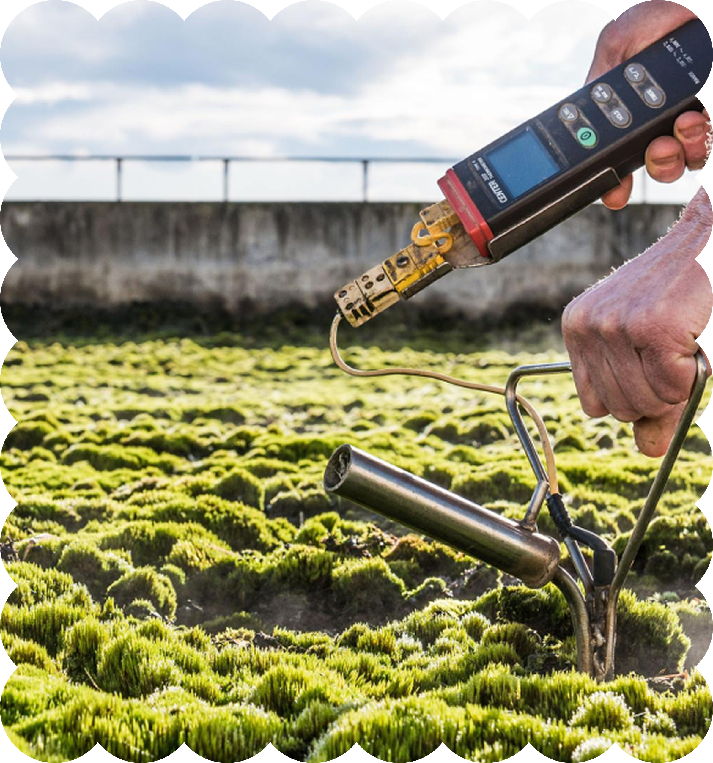 Close-up of a person holding a handheld device near a field of green plants, with a bridge and cloudy sky in the background.