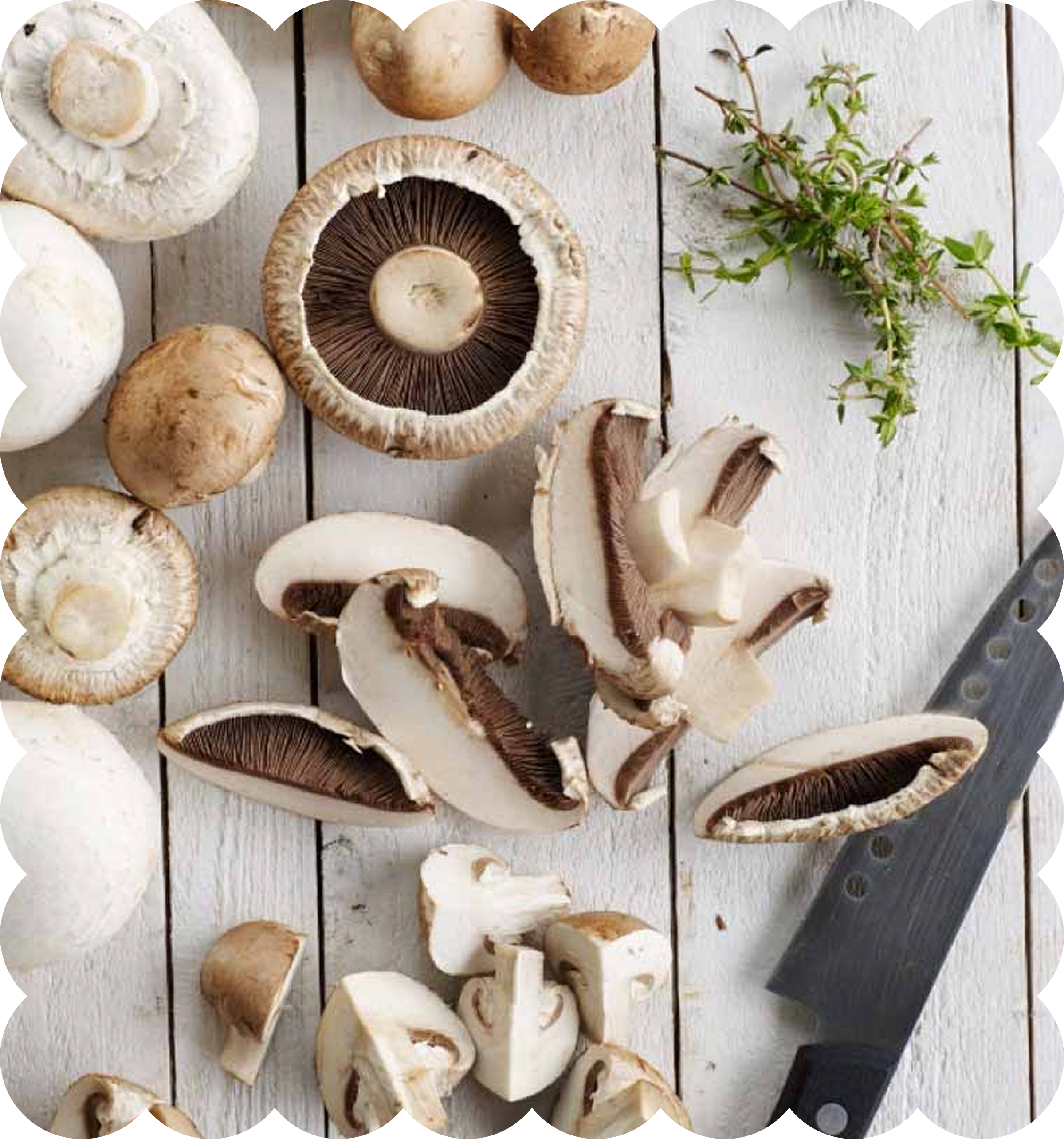 Various fresh mushrooms sliced and whole, spread out on a white wooden surface, with a black knife on the right side, and some green herbs on the top right corner.