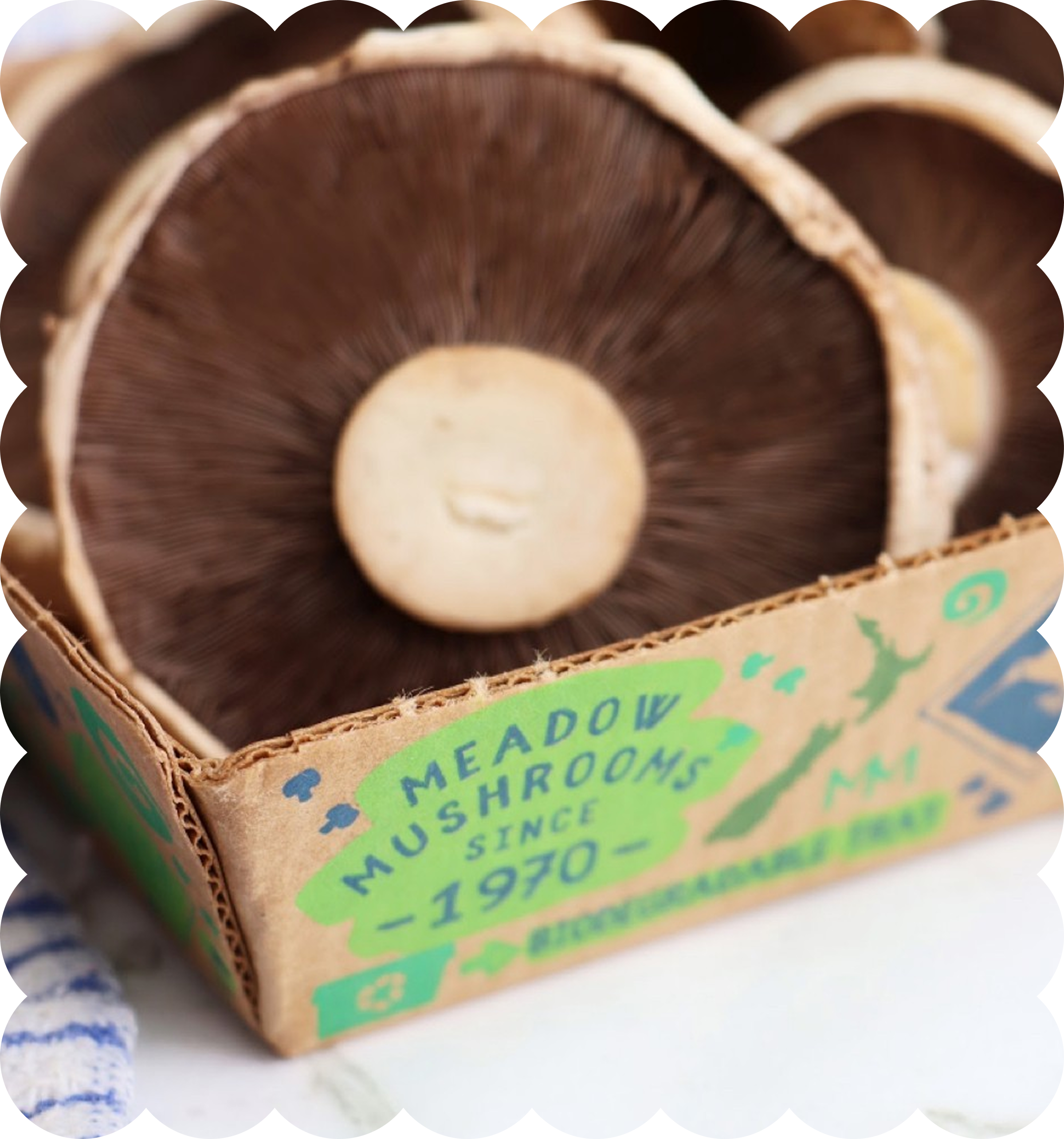Close-up of a packaging box for mushroom-grown products, with labeled text and a straw on the side, placed on a white surface.