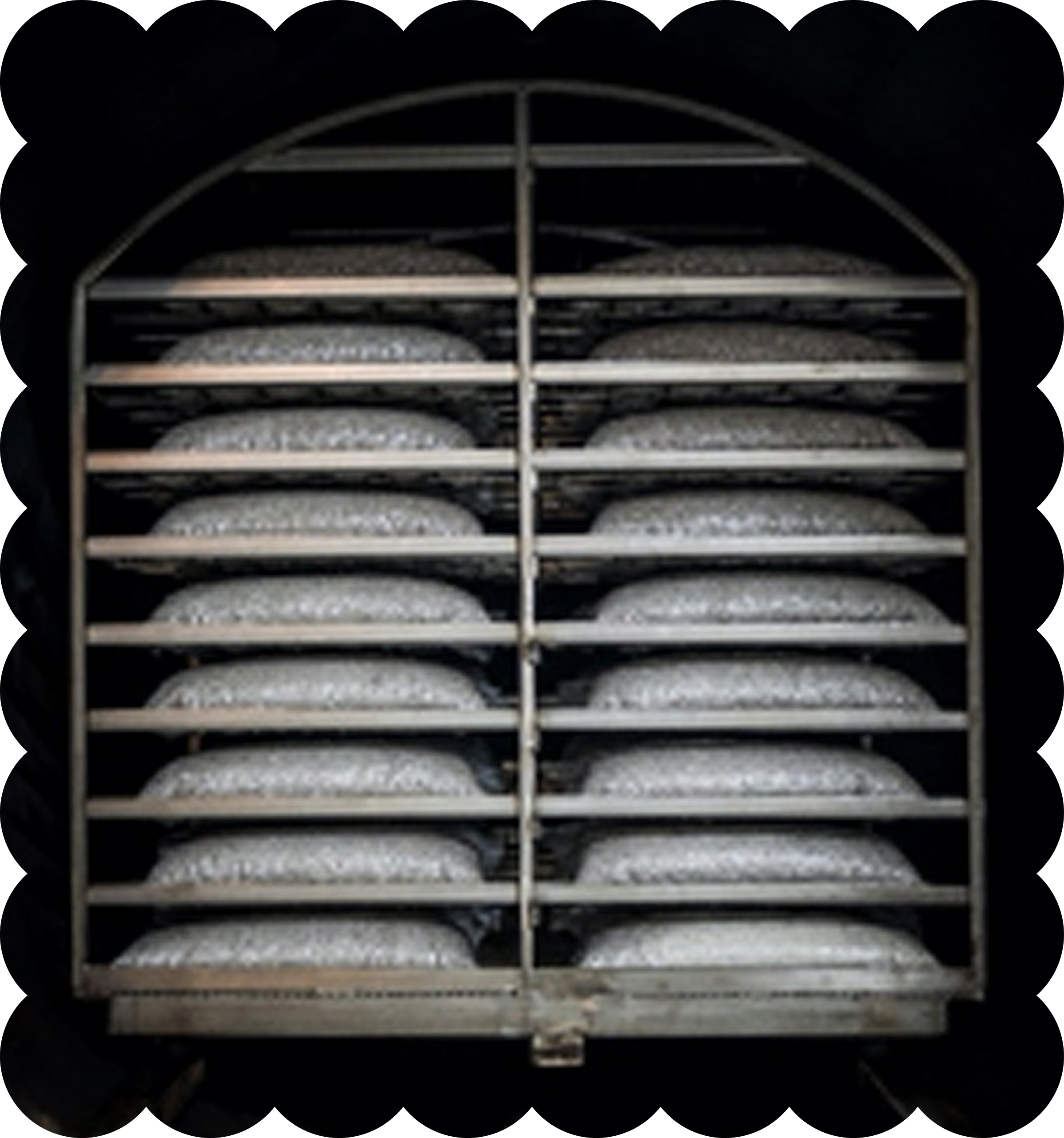 A metal rack with multiple trays filled with round, flat dough or bread slices inside a dark room or oven