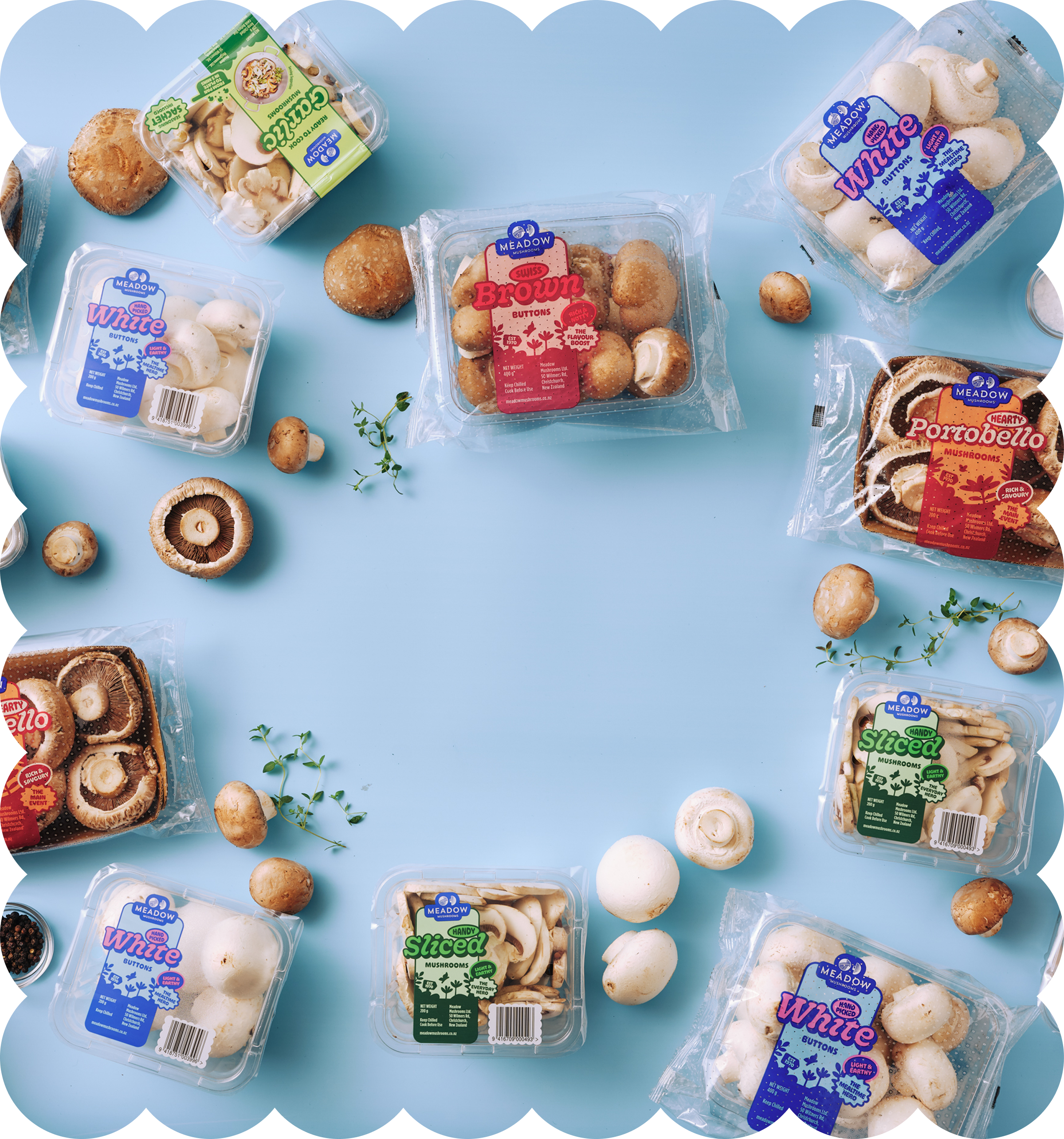 Various packages of mushrooms and scattered whole mushrooms on a light blue surface.