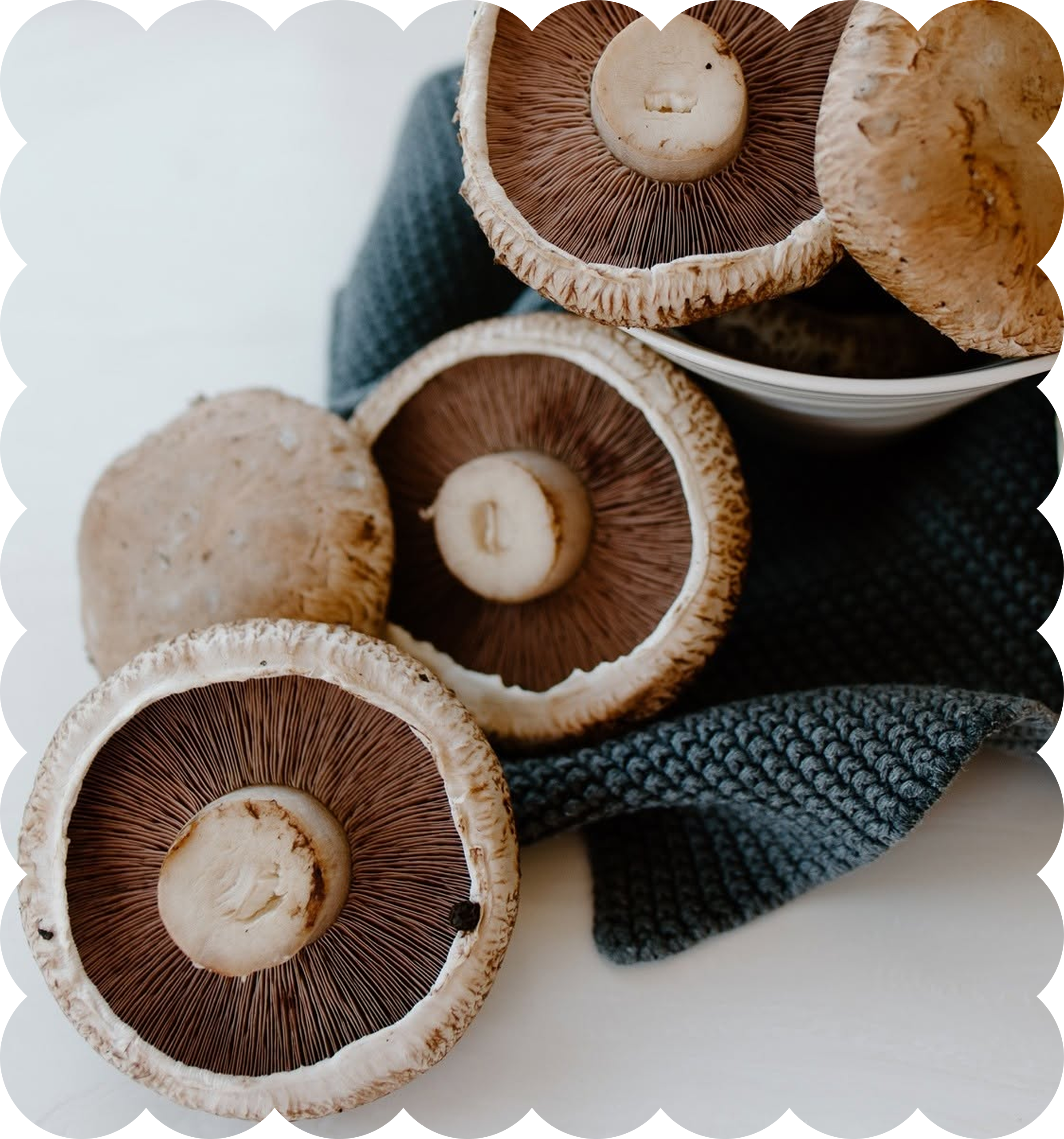 Close-up of sliced brown mushrooms placed on a dark textured cloth.