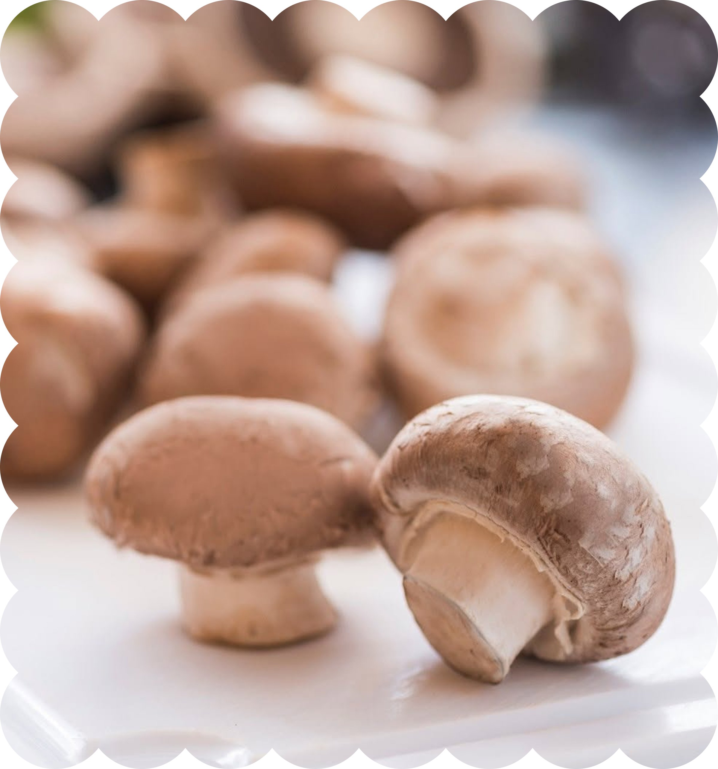 Close-up of brown and tan colored mushrooms.