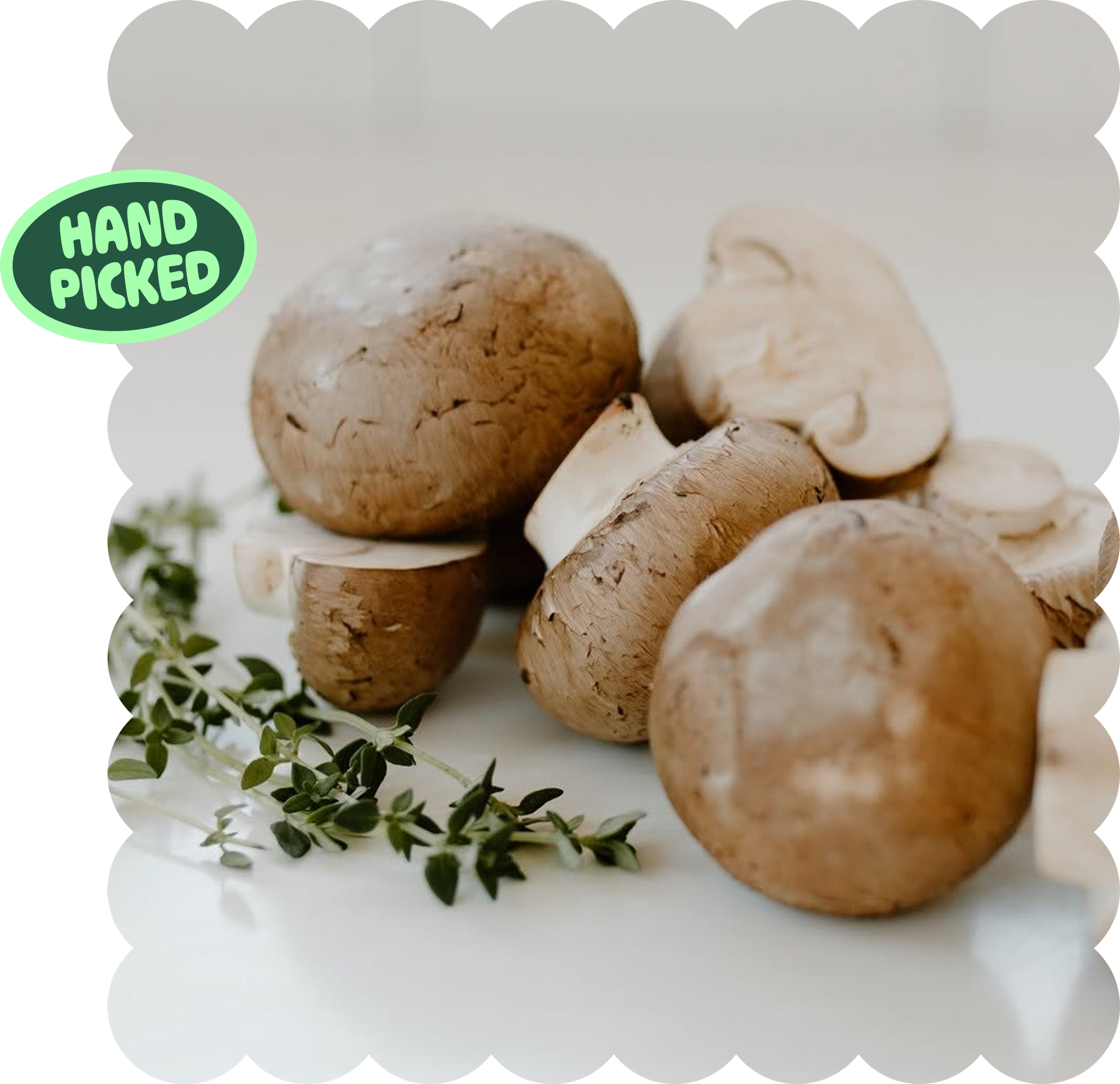 Close-up of whole and sliced white mushrooms on a white surface with green herb leaves in the foreground.