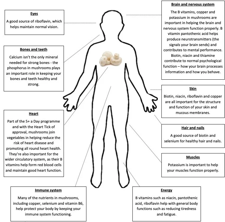 Diagram of the human body highlighting various health benefits of nutrients, including eyes, bones and teeth, heart, immune system, energy, skin, hair and nails, muscles, and brain and nervous system.