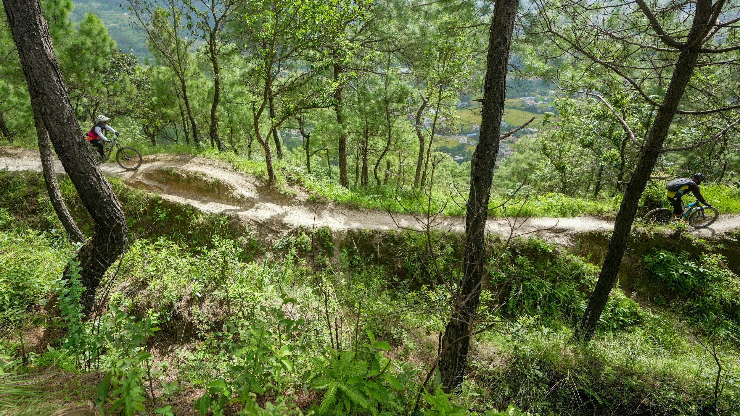Two mountain bikers riding on a dirt trail through a lush green forest with tall trees and a view of a valley or town in the background.