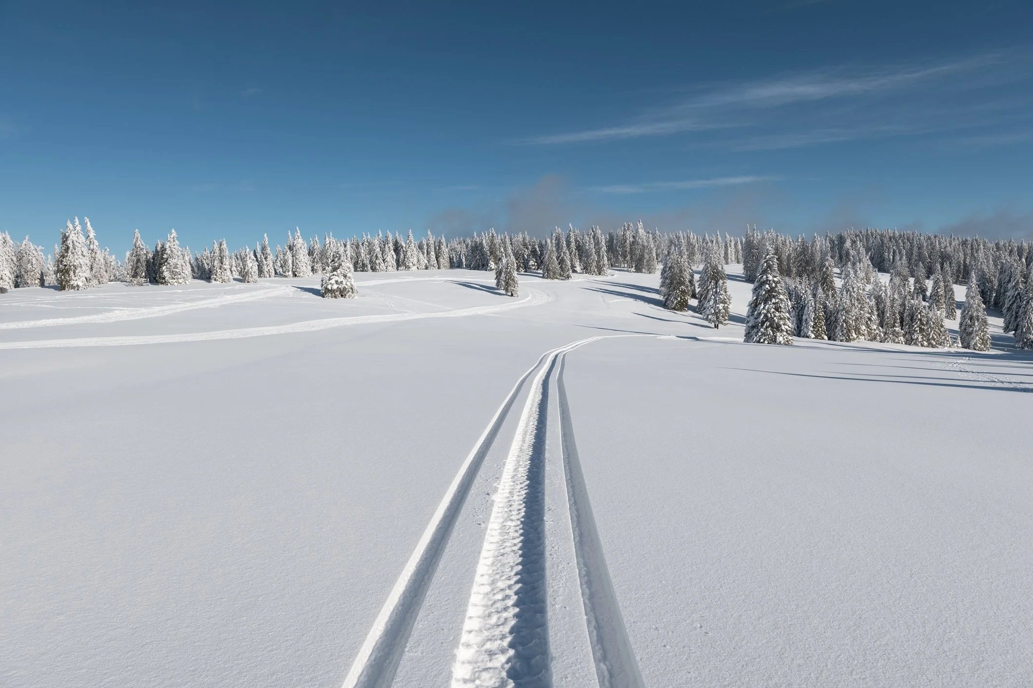 Snow-covered landscape with ski tracks and trees, under a blue sky with wispy clouds.