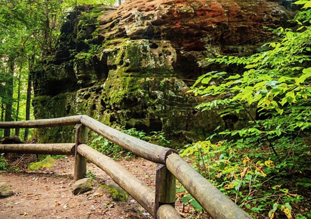 A wooded trail with a wooden fence, moss-covered rocks, and lush green trees and foliage.