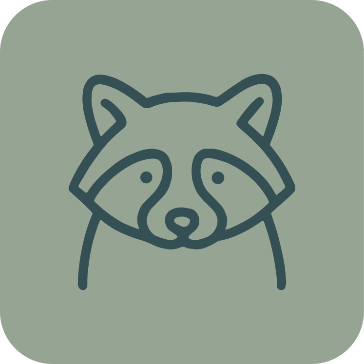 Simple line drawing of a raccoon's face with a green background.
