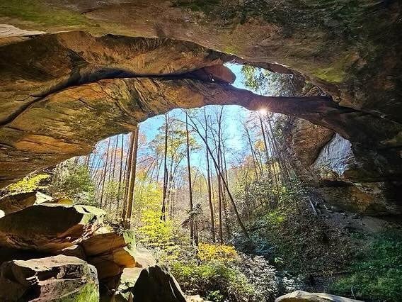 View of a natural rock cave opening with sunlight shining through the trees outside.