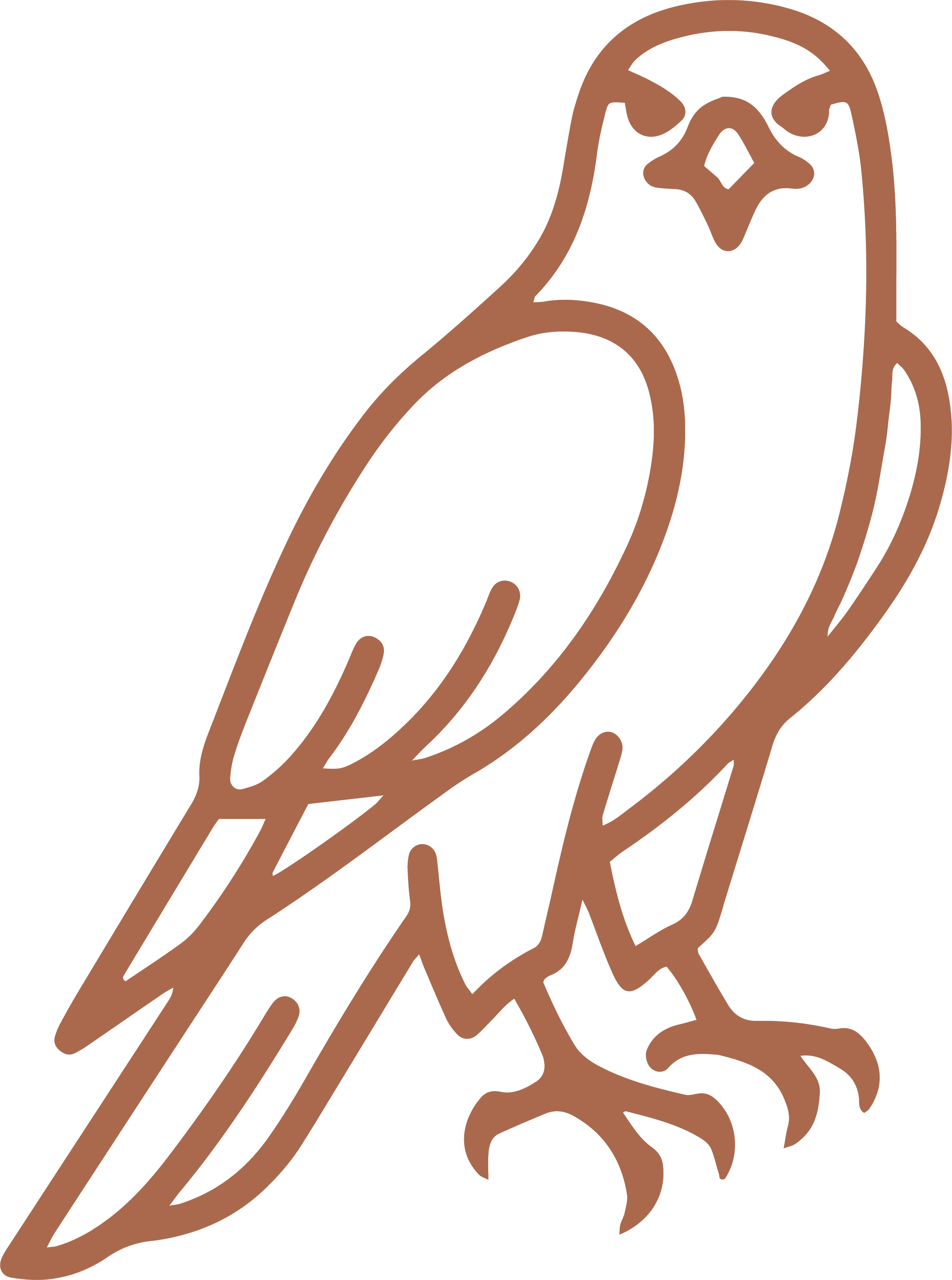 Line drawing of a bird's profile, colored in brown.