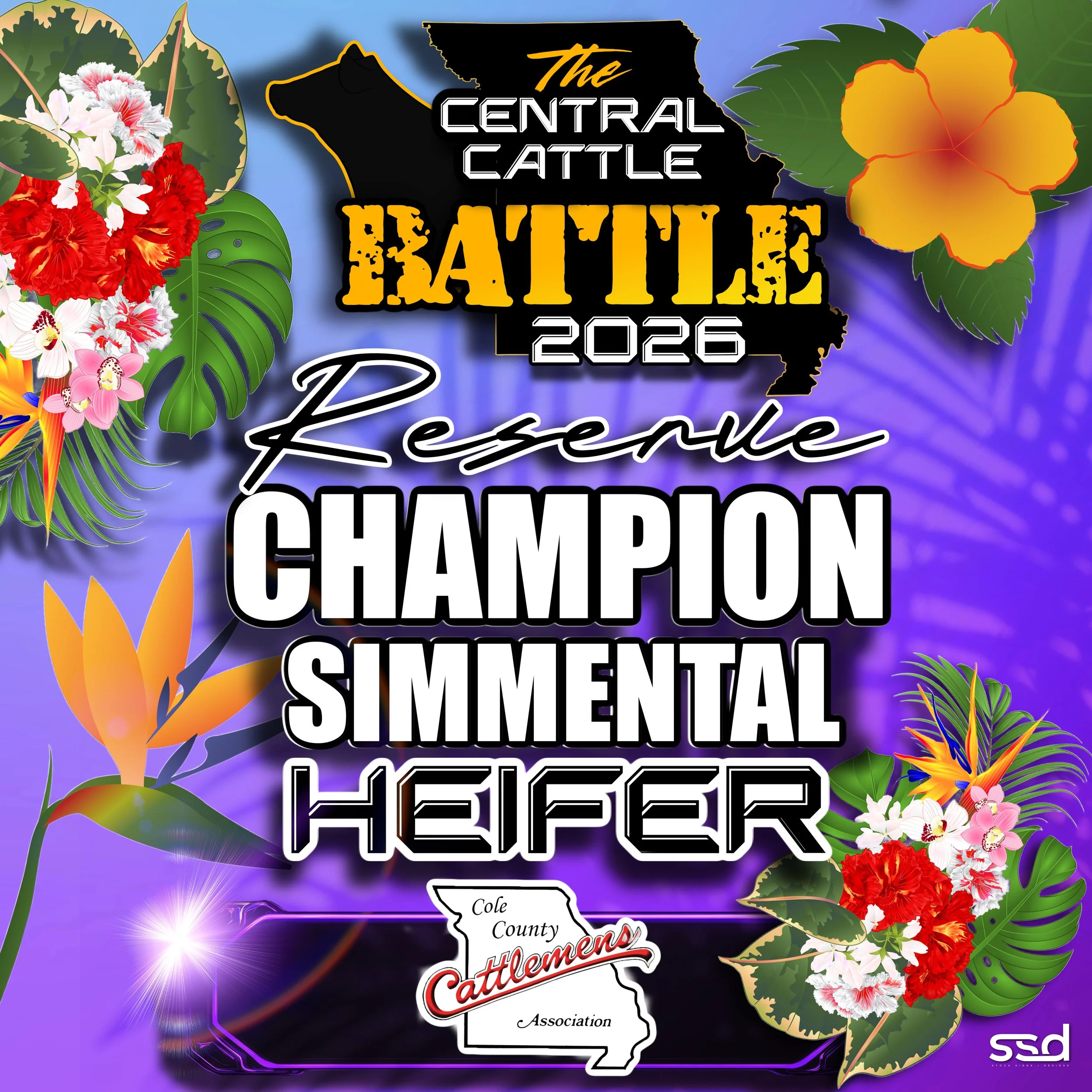 12X12-GROMMETS-THE CENTRAL CATTLE BATTLE-2 copy.jpg