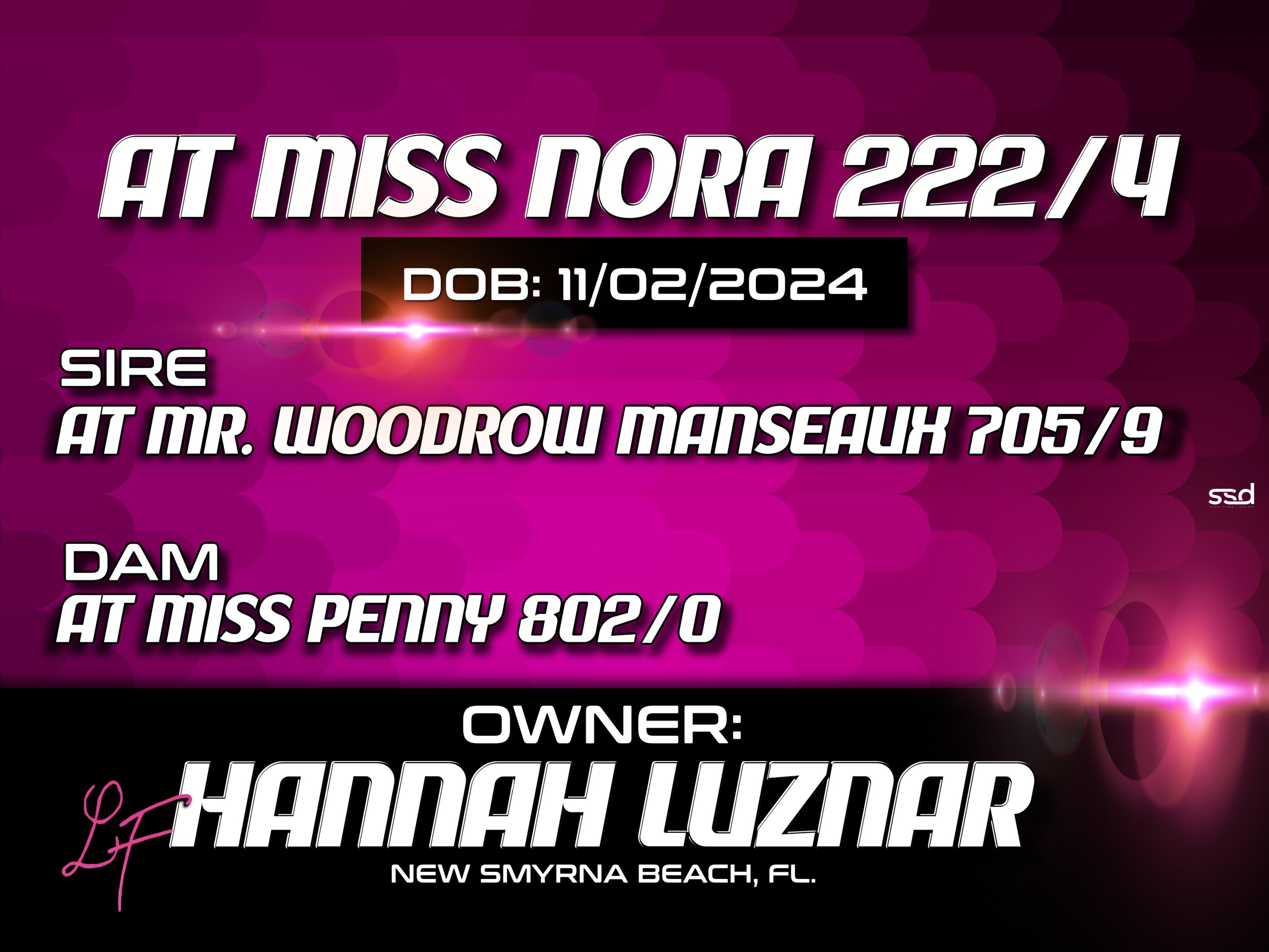 18X24-CORRO GROMMETS-HANNAH LUZNAR-NORA-2 copy (1).jpg