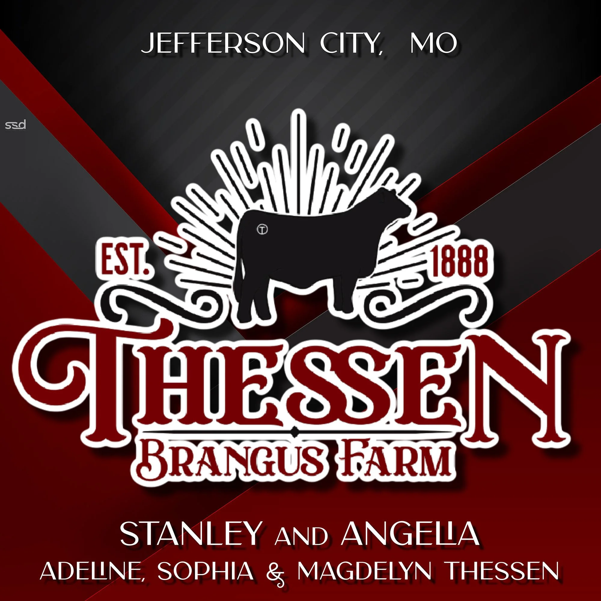 20x20-double sided maxmetal-grommetss-thessen brangus farm.jpg