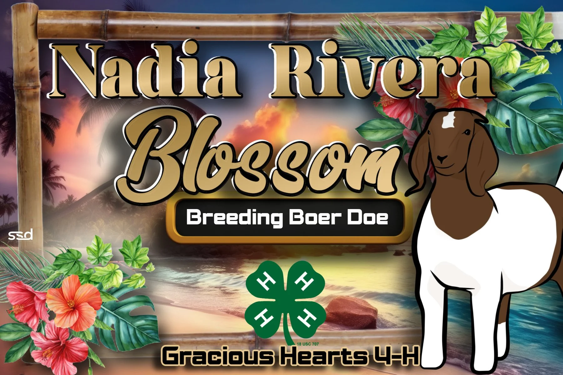 12x18-VINYL STALL BANNER-NADIA RIVERA-BLOSSOM.jpg