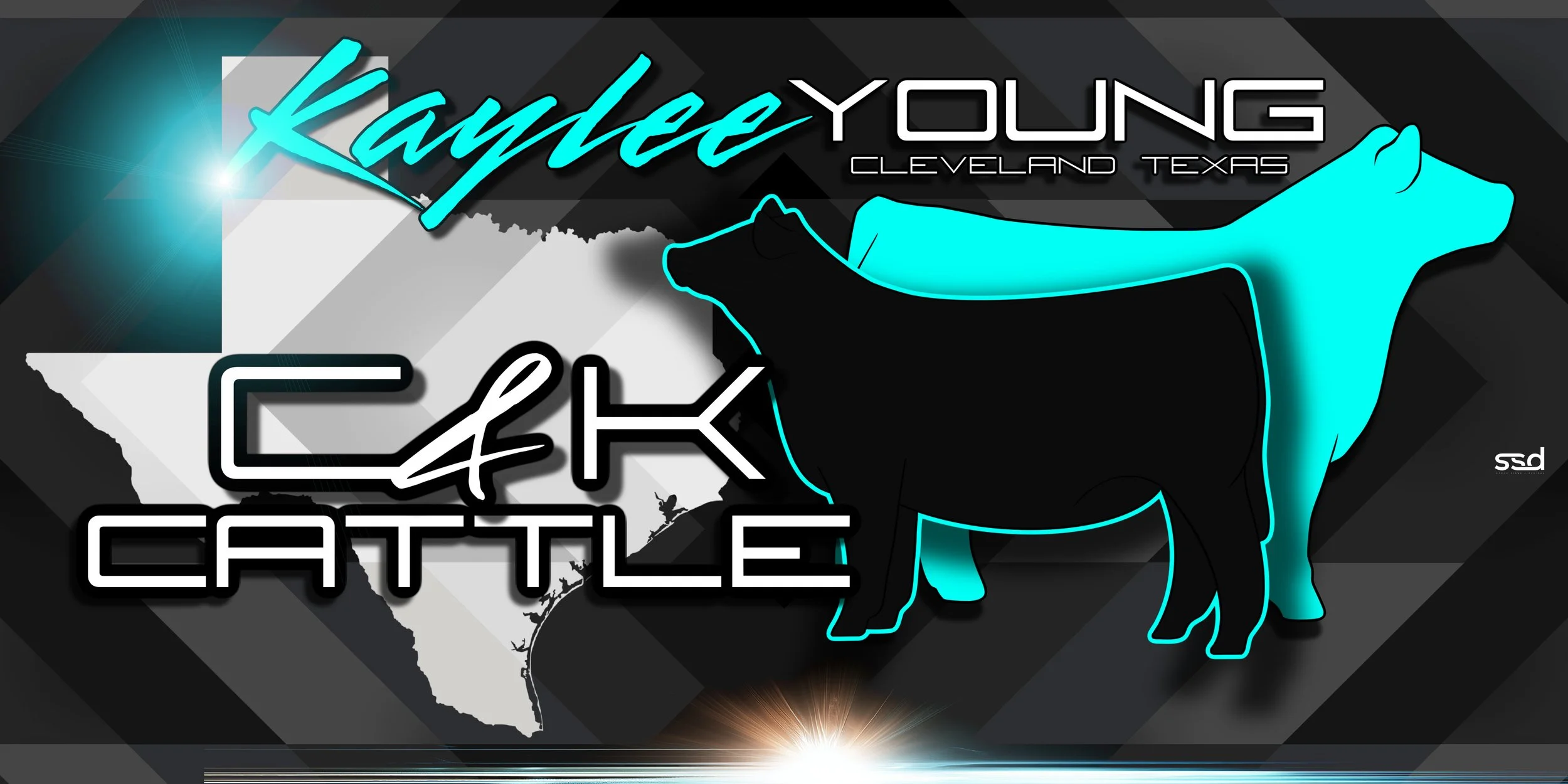 8x4-STALL TARP-C&K CATTLE-KAYLEE YOUNG.jpg