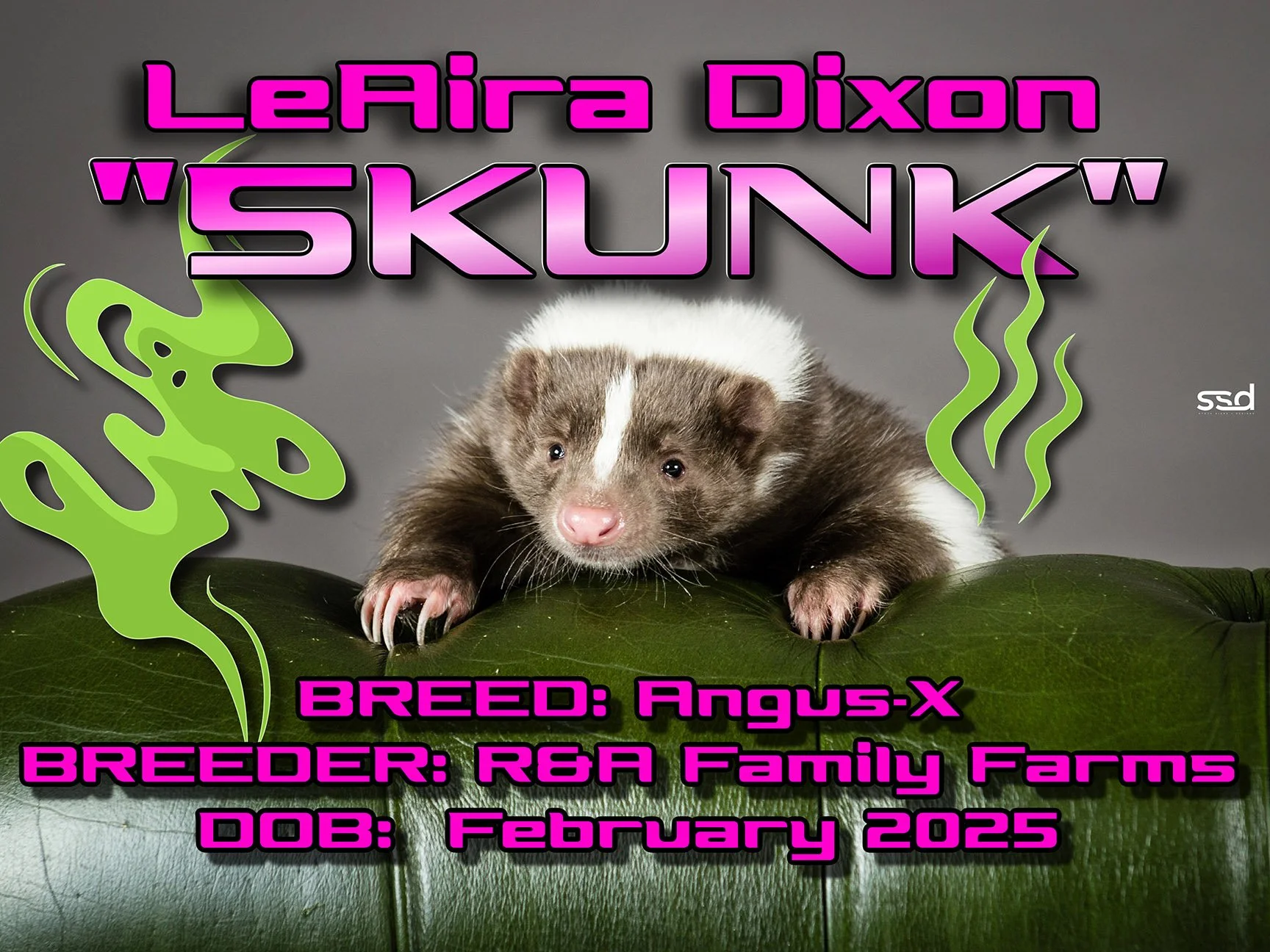 18x24-CORRO-GROMMETS-SKUNK-LeAira Dixon  copy (1).jpg