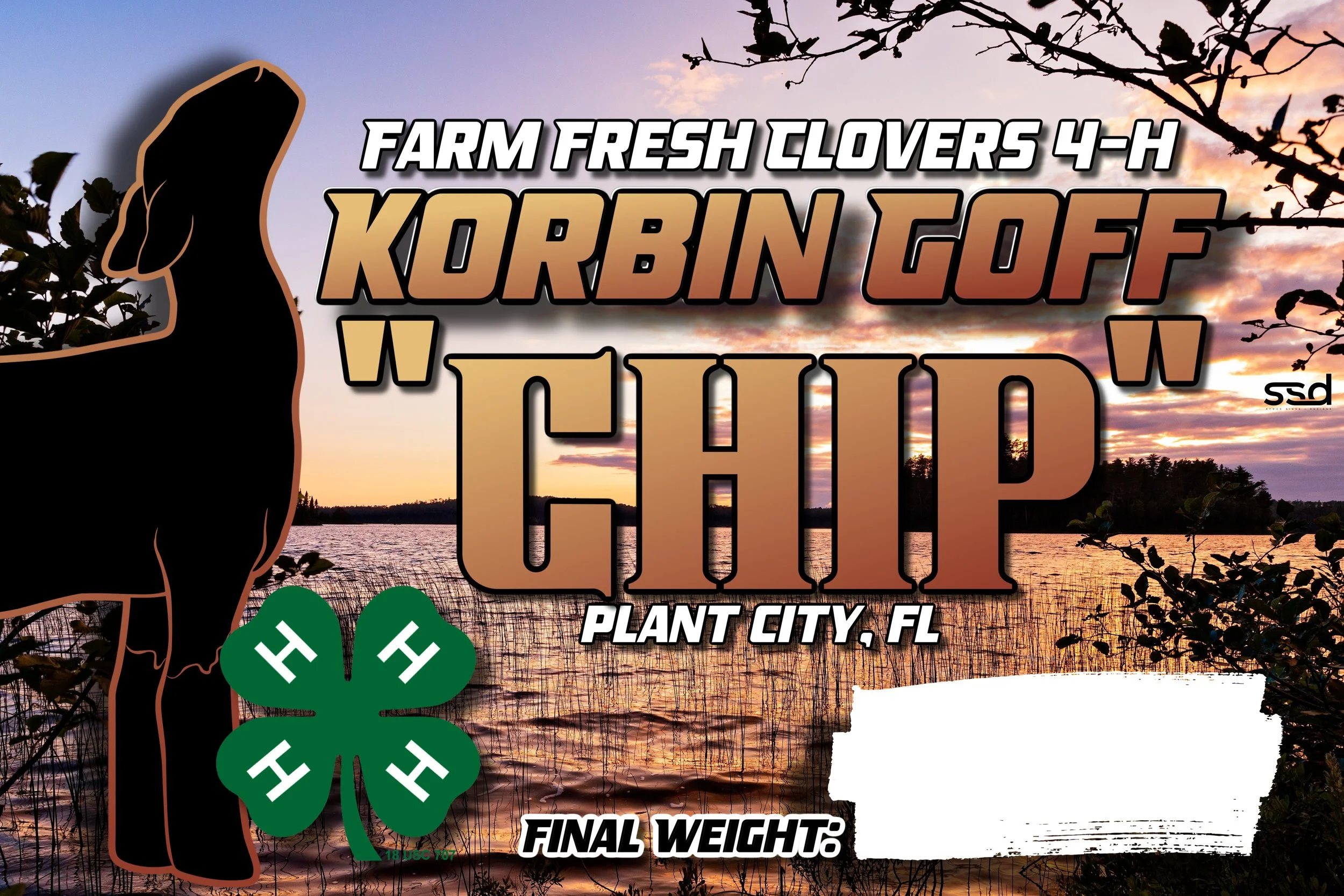 12x18-corro-grommets-korbin goff-chip copy.jpg