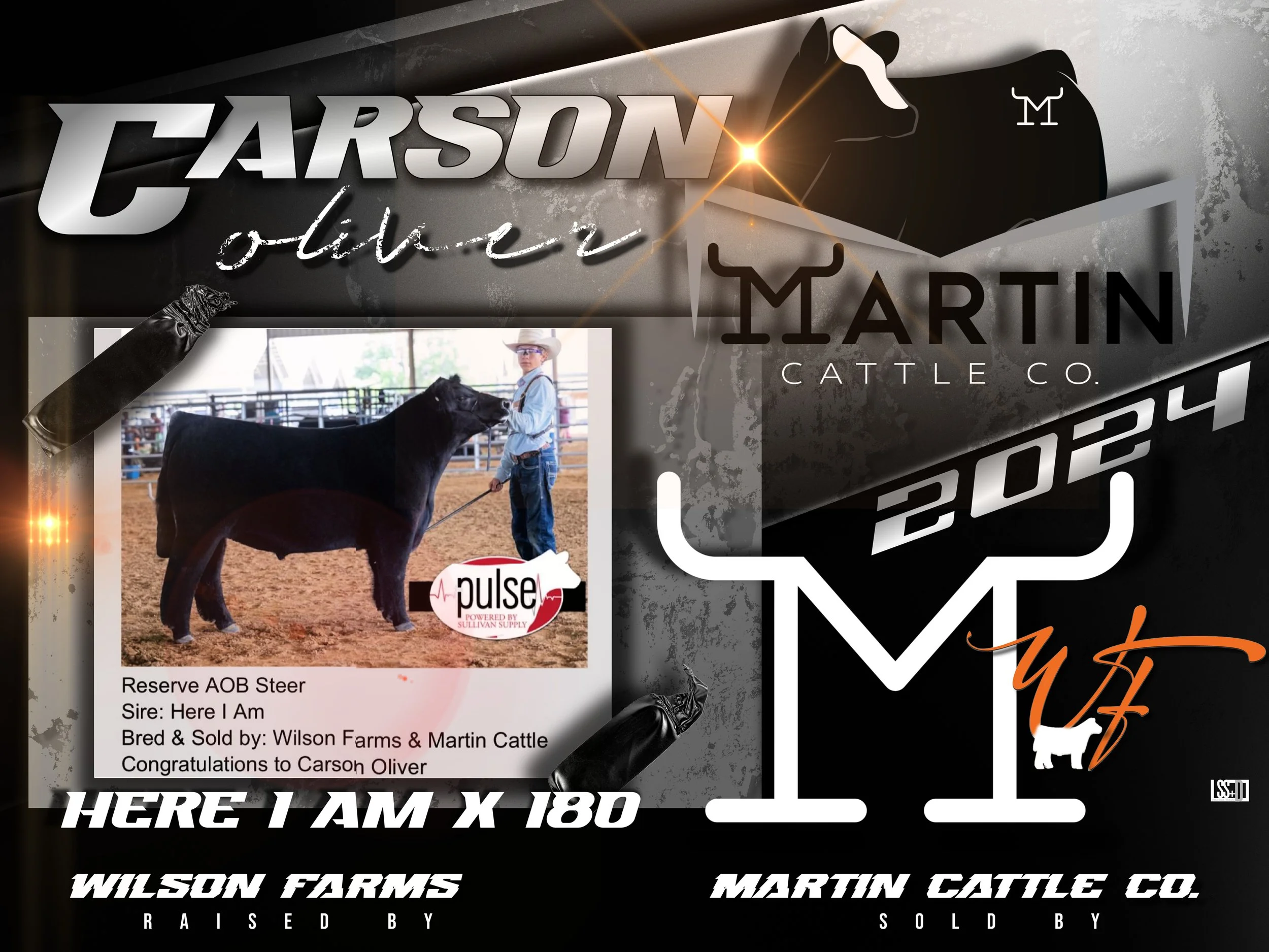 4x3-VINYL GROMENTS-BROUGHTON MARTIN CATTLE- Carson Oliver  Heifer copy.jpg