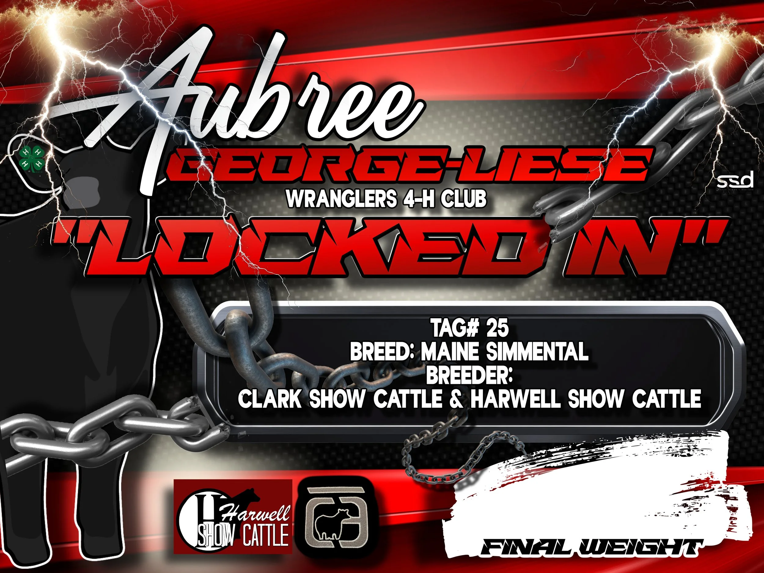 18x24-corro grommets-Aubree George-LOCKED IN.jpg
