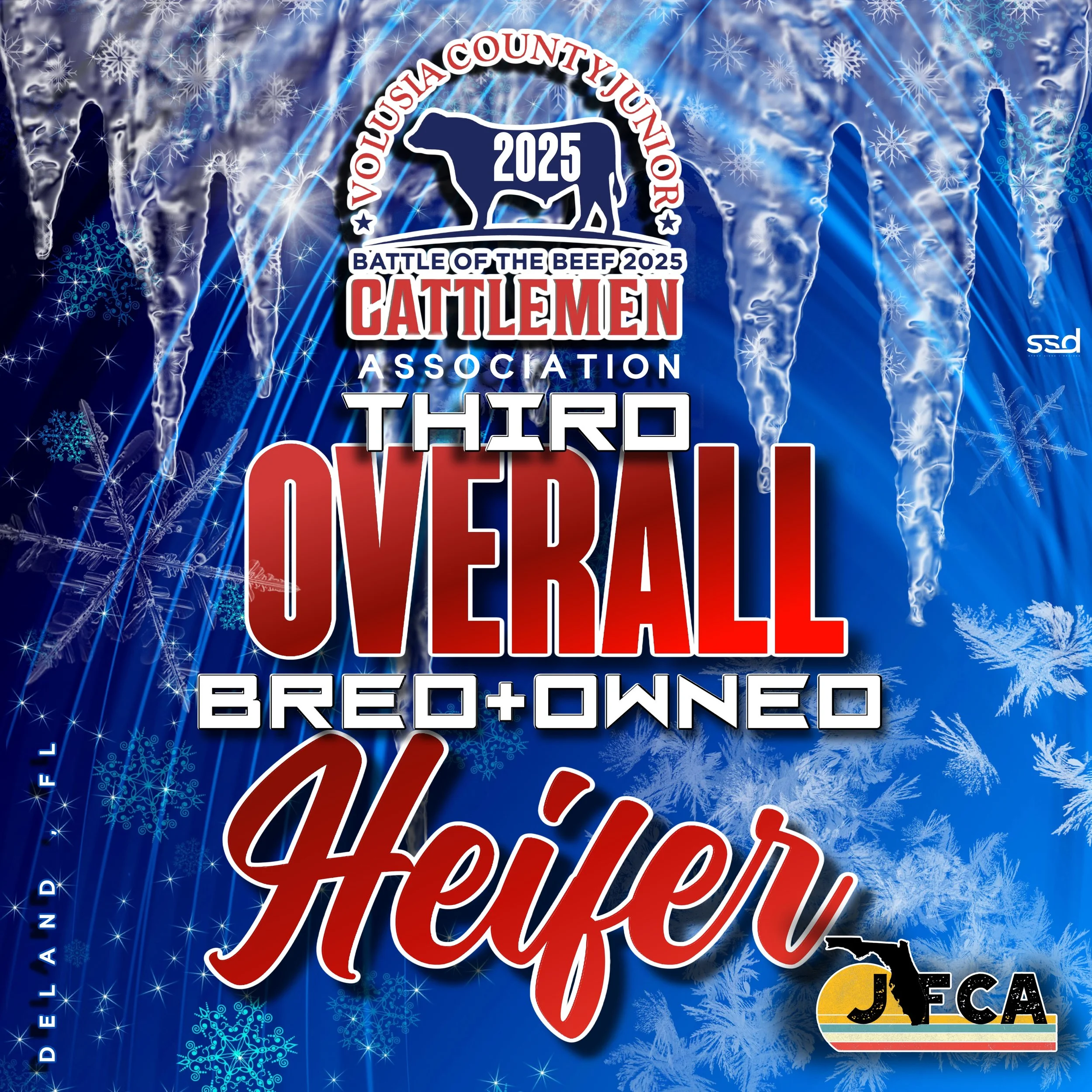 20x20-groments-volusia county-battle of the beef-2025-B+o bRAHMA HEIFERS- copy.jpg