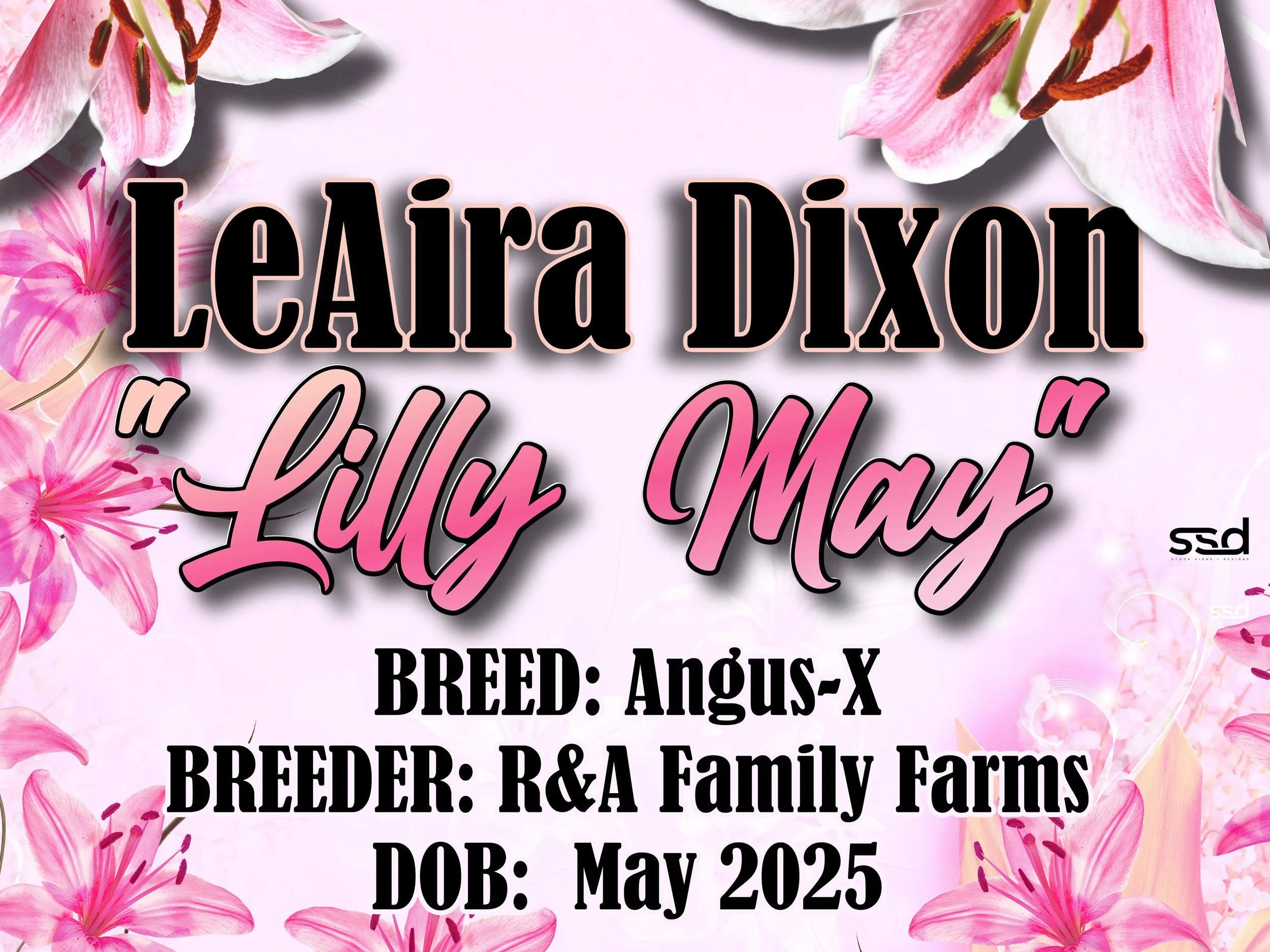 18x24-CORRO-GROMMETS-LILLY MAY-LeAira Dixon.jpg
