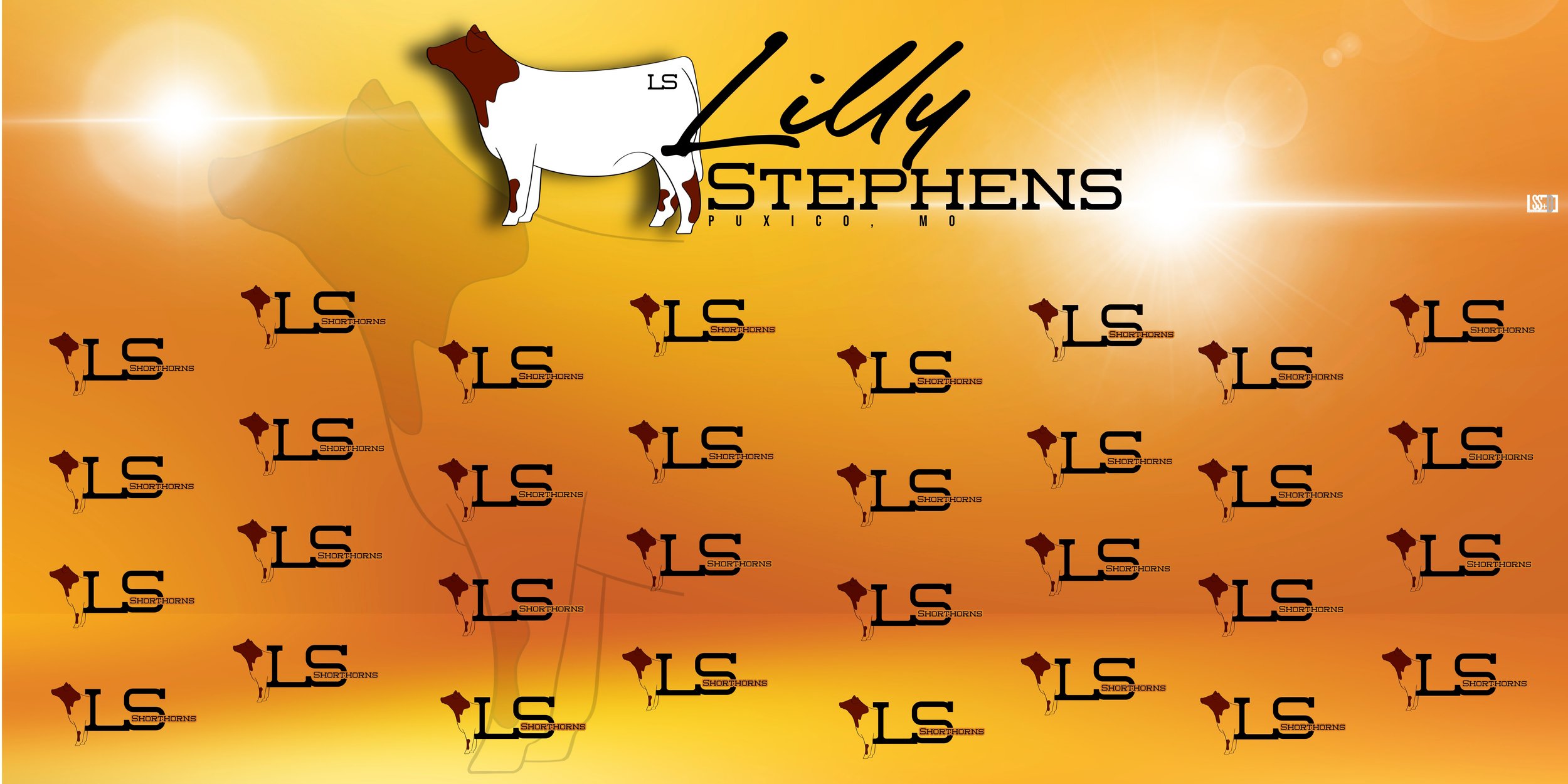 8x4-STALL TARP-LILLY STEPHENS copy.jpg