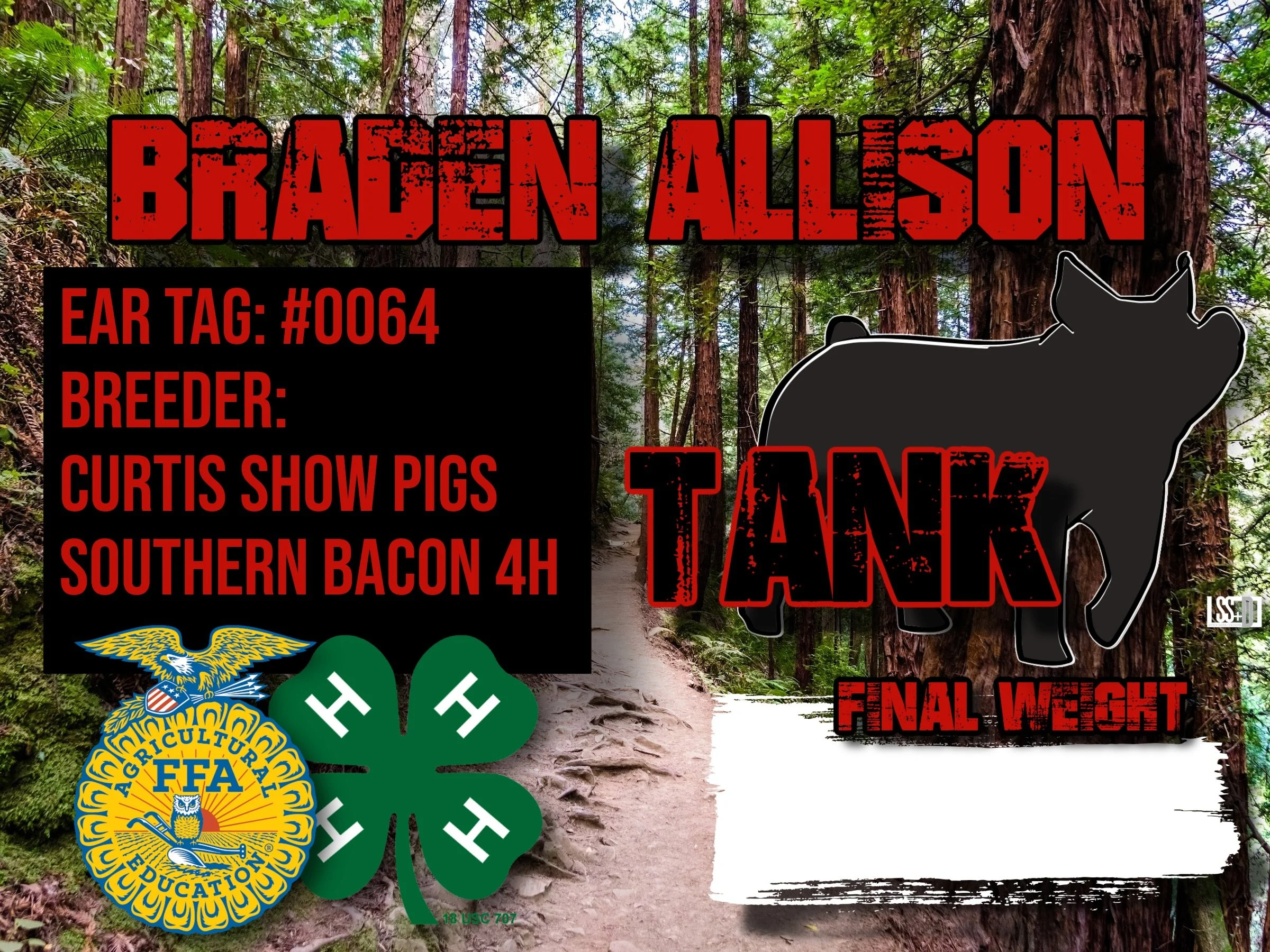 24X18_BRADEN ALLISON_TANK (1).jpg