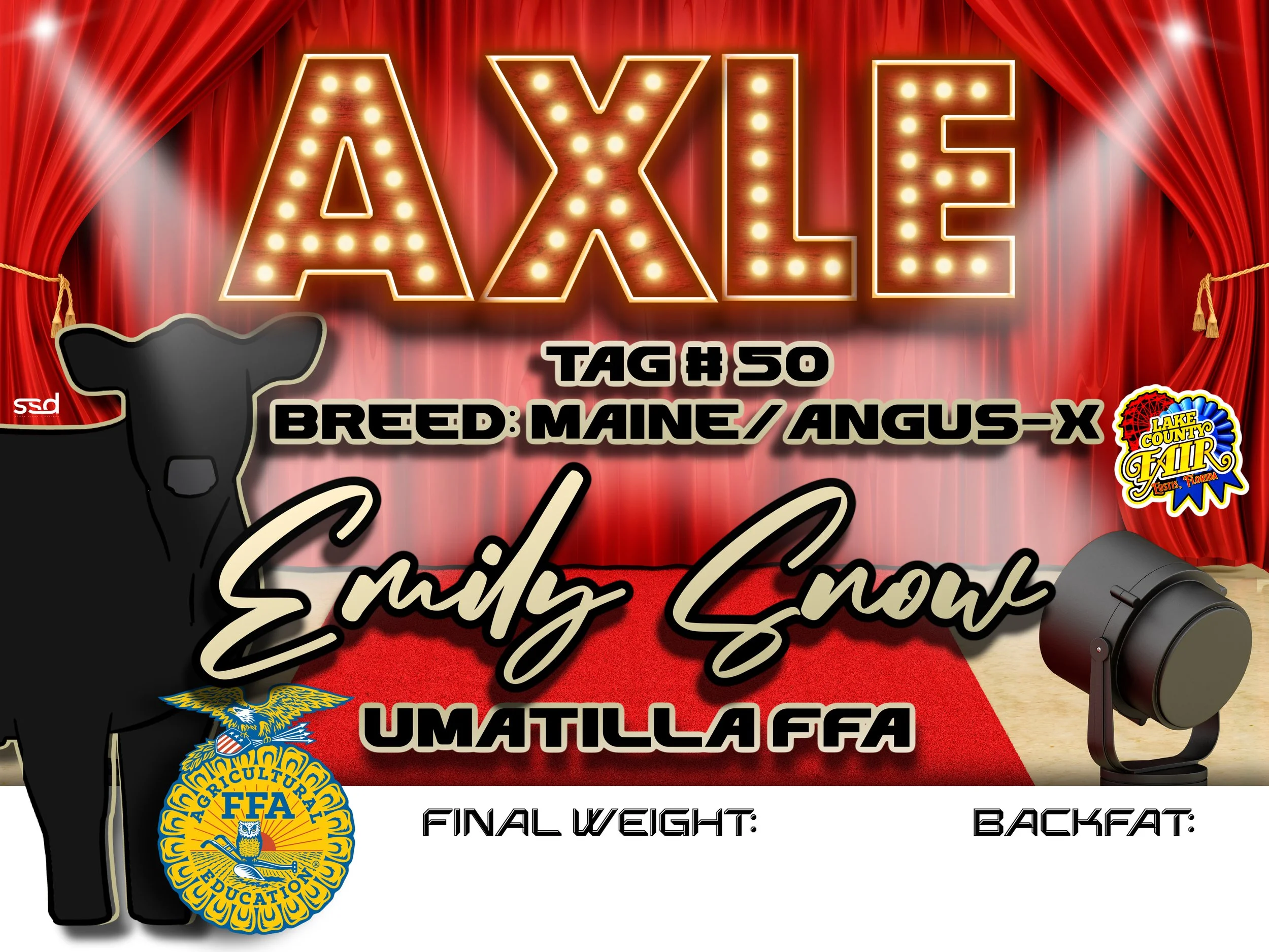 15x20-VINYL STALL BANNER-GROMMETS-EMILY SNOW-AXLE copy.jpg