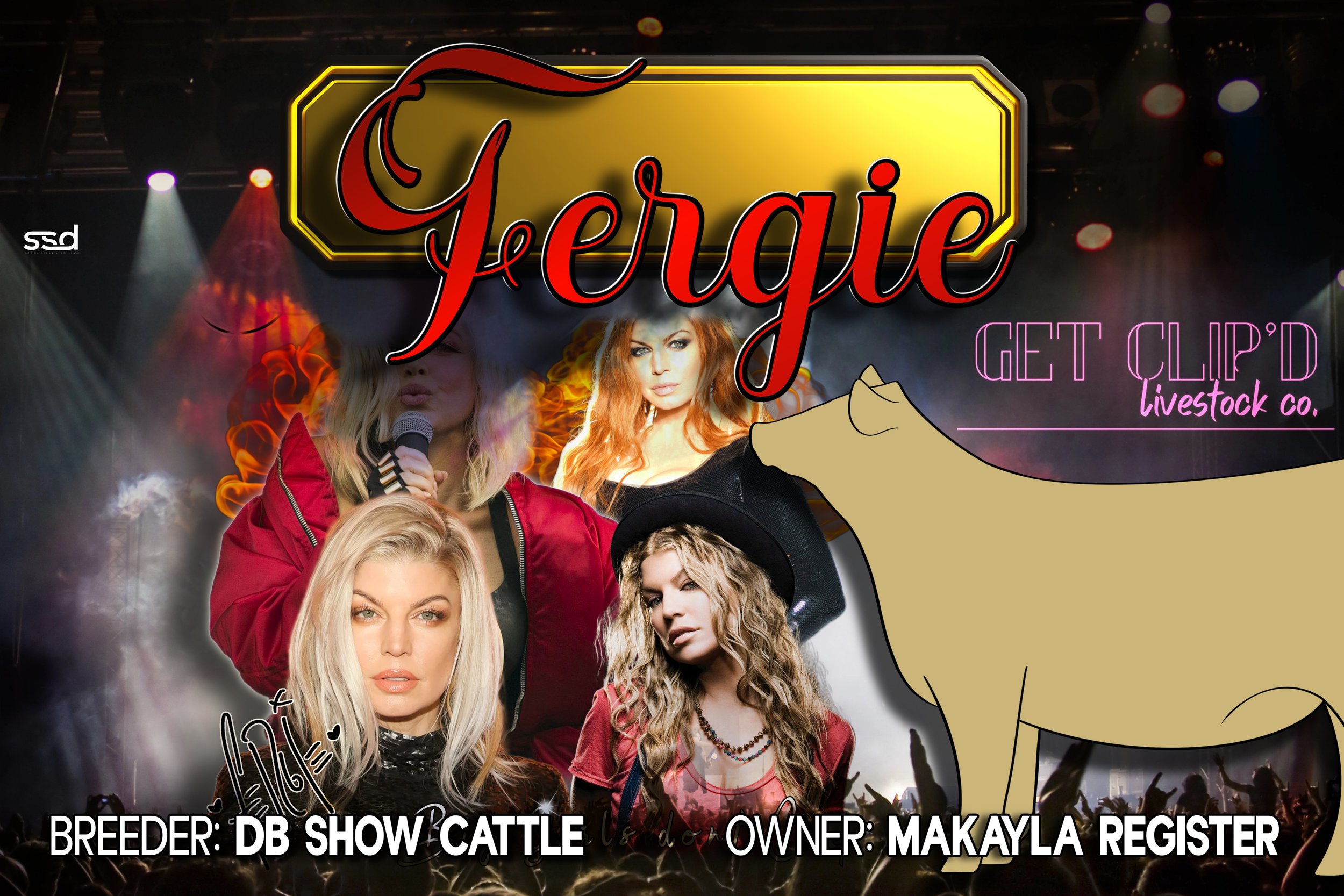 12X18-VINYL STALL BANNER-FERGI