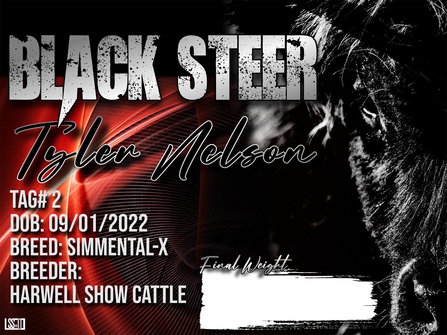 24x18_curro with groments_Tyler Nelson-Black Steer.png